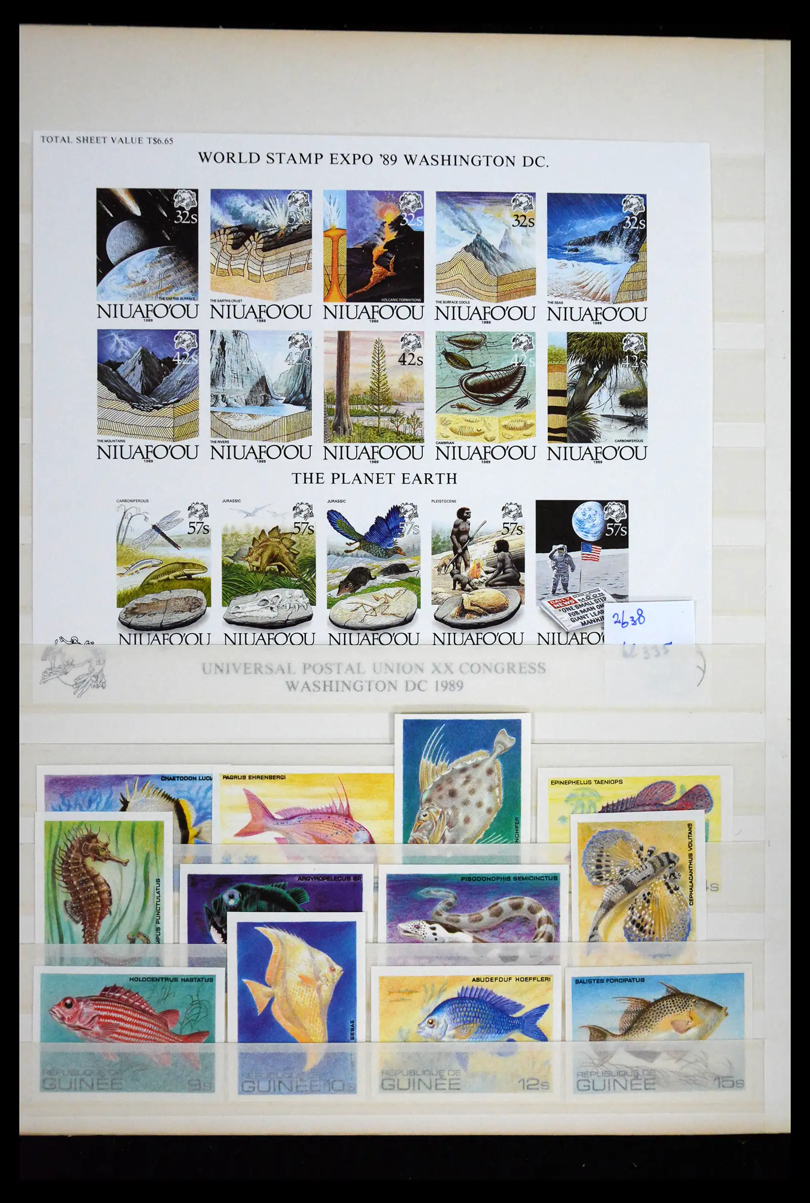 41691 0018 - Stamp collection 41691 Thematic animals imperforated 1950-2000.