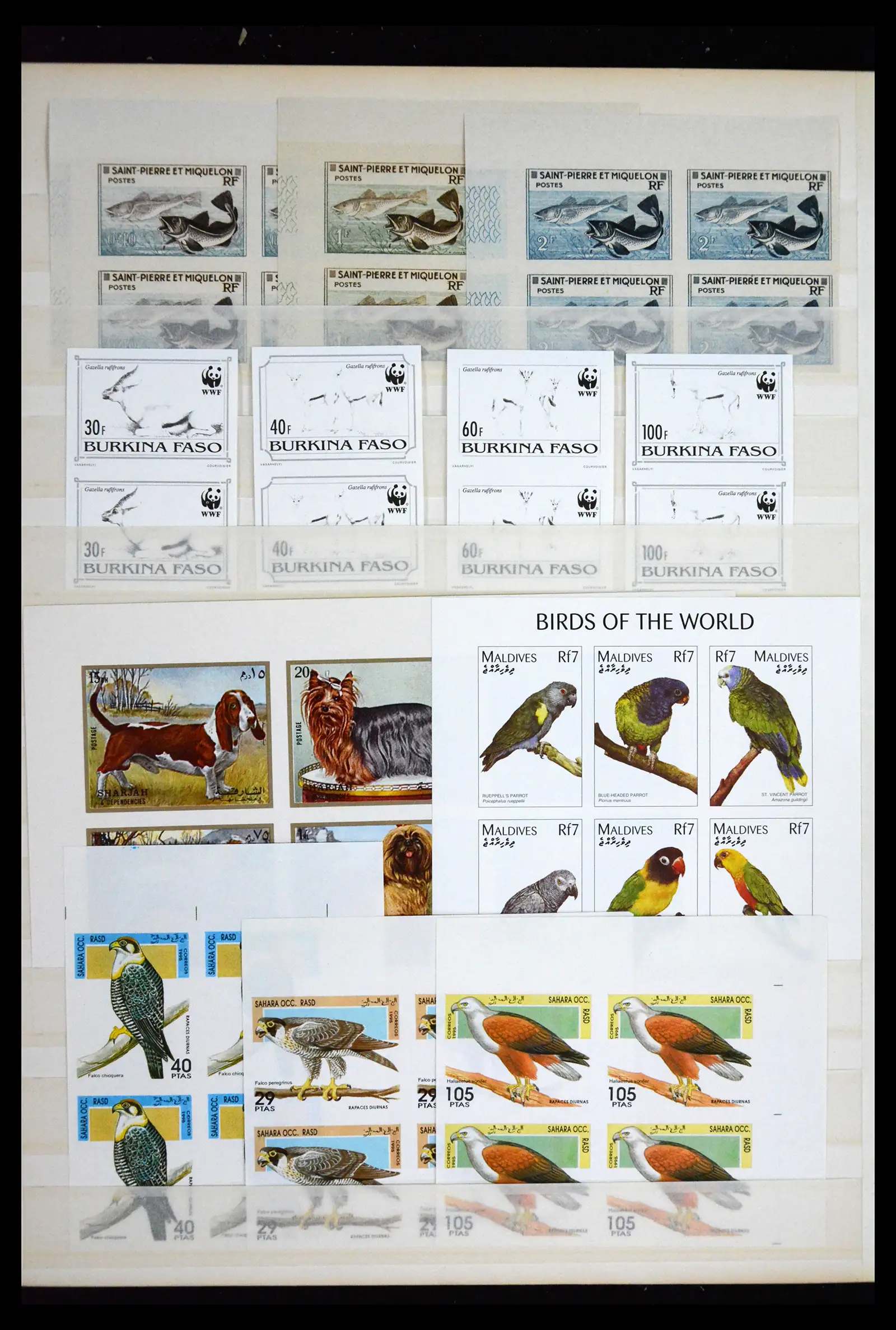 41691 0020 - Stamp collection 41691 Thematic animals imperforated 1950-2000.