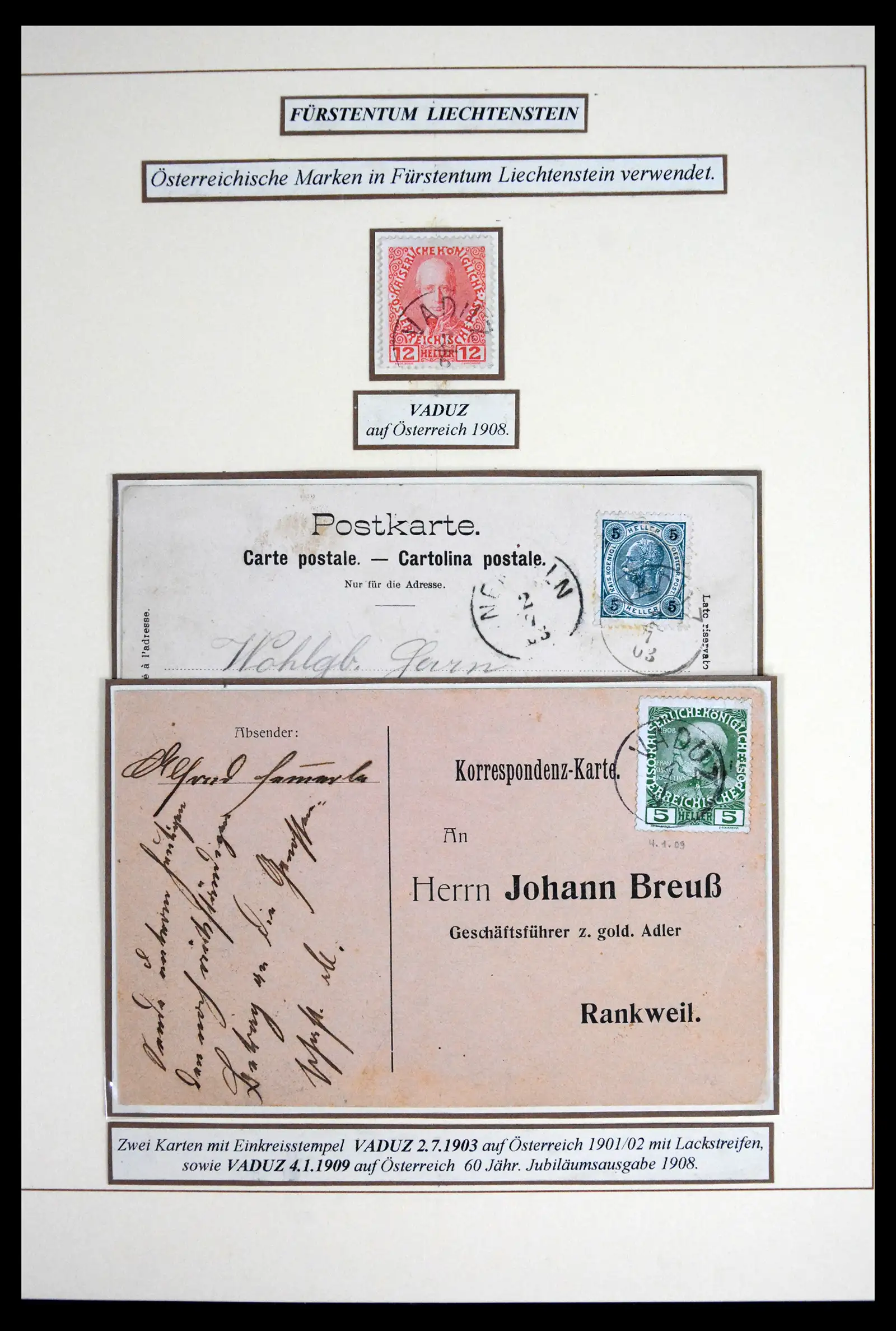 41802 0004 - Postzegelverzameling 41802 Liechtenstein voor- en meelopers 1869-1921.