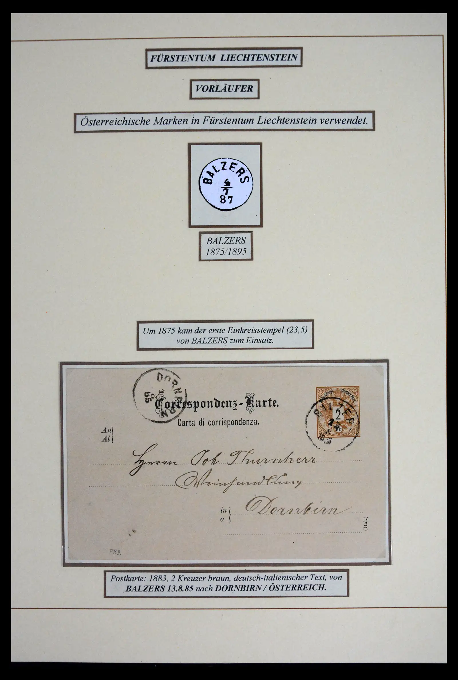 41802 0009 - Postzegelverzameling 41802 Liechtenstein voor- en meelopers 1869-1921.