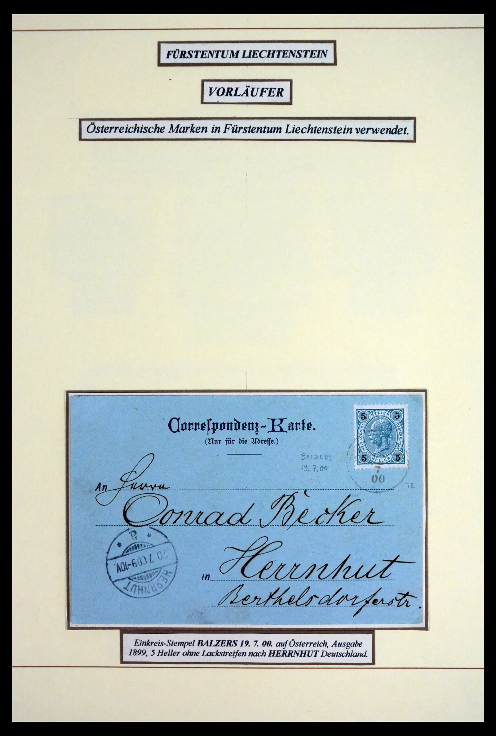 41802 0011 - Postzegelverzameling 41802 Liechtenstein voor- en meelopers 1869-1921.