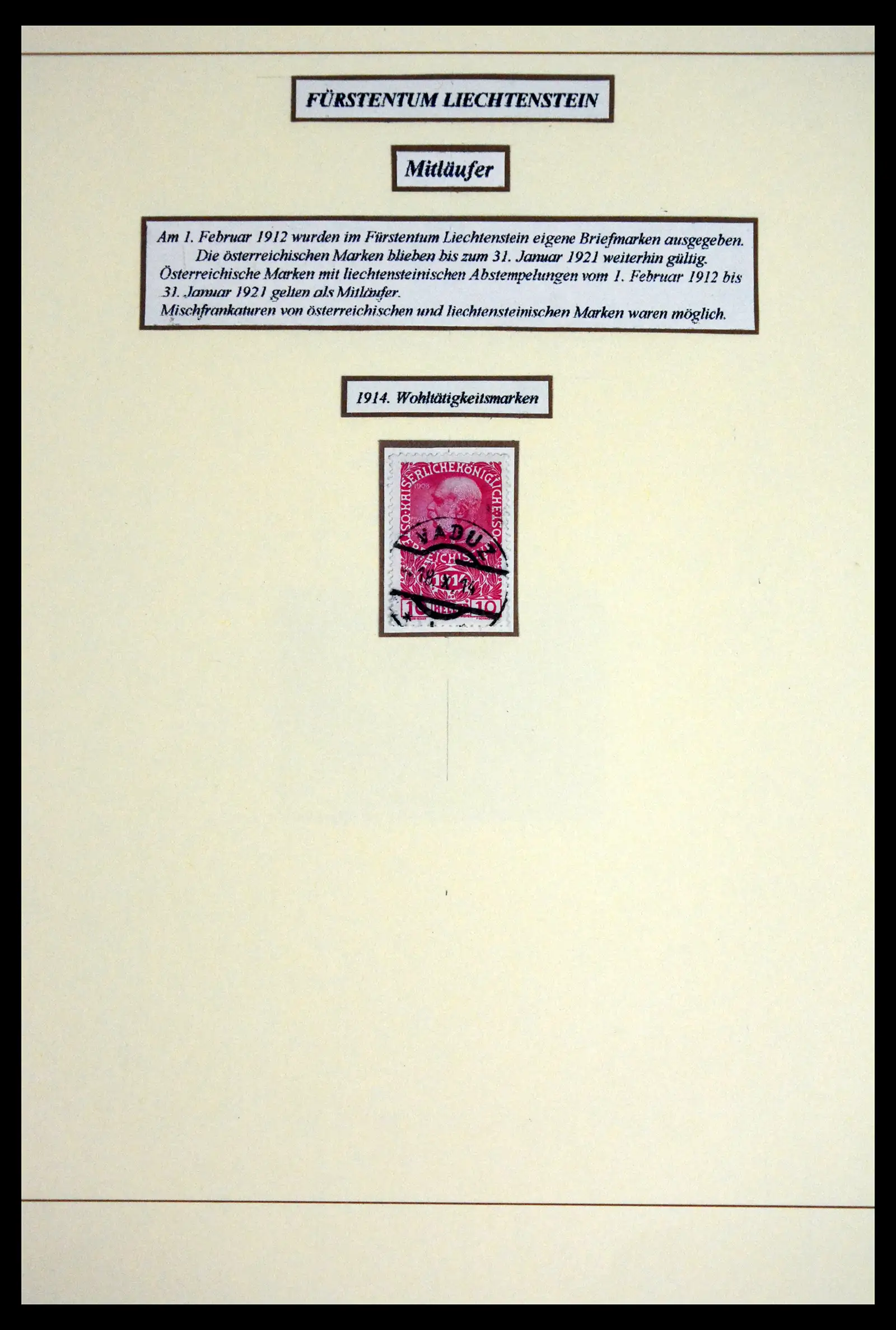 41802 0017 - Postzegelverzameling 41802 Liechtenstein voor- en meelopers 1869-1921.