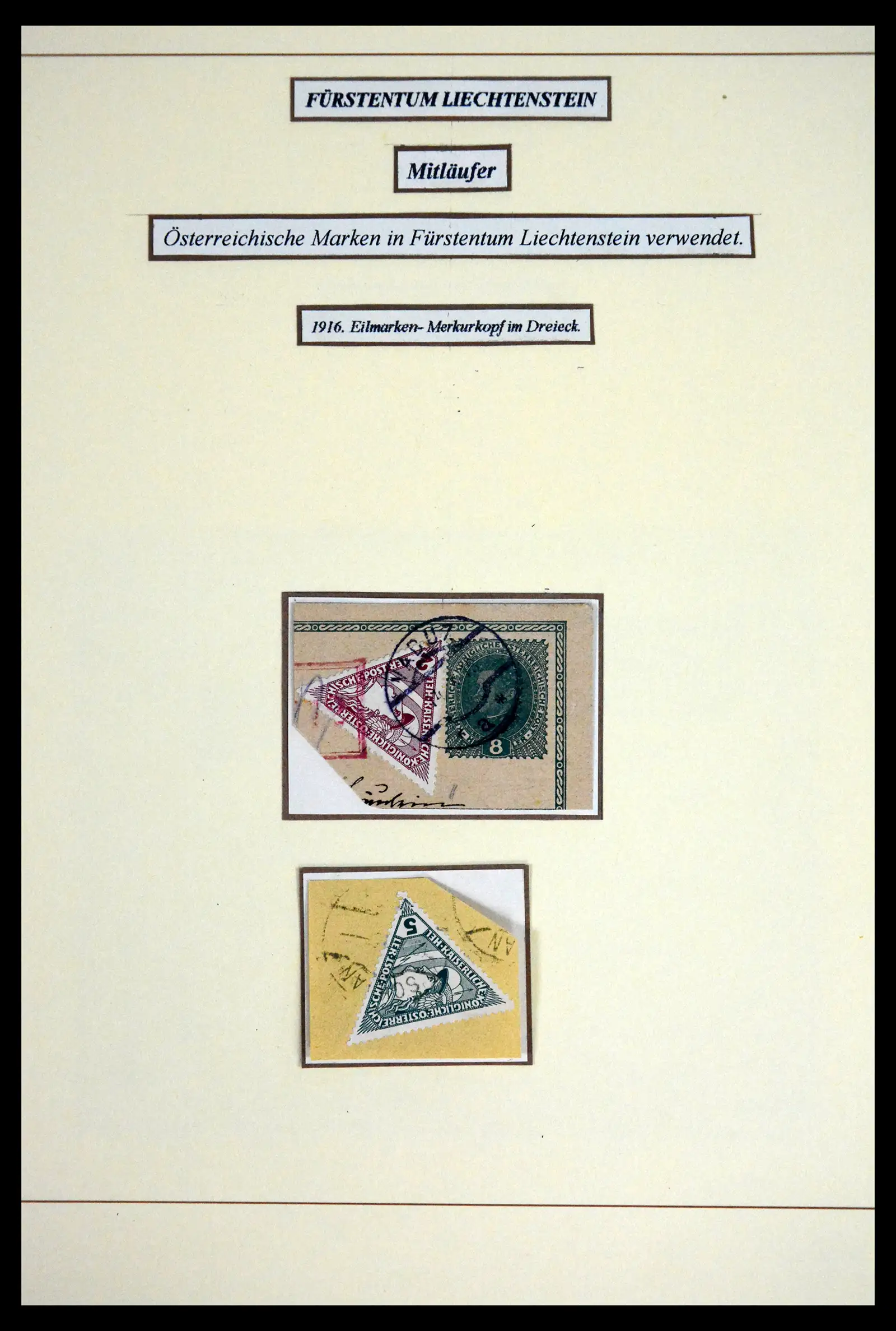 41802 0018 - Postzegelverzameling 41802 Liechtenstein voor- en meelopers 1869-1921.