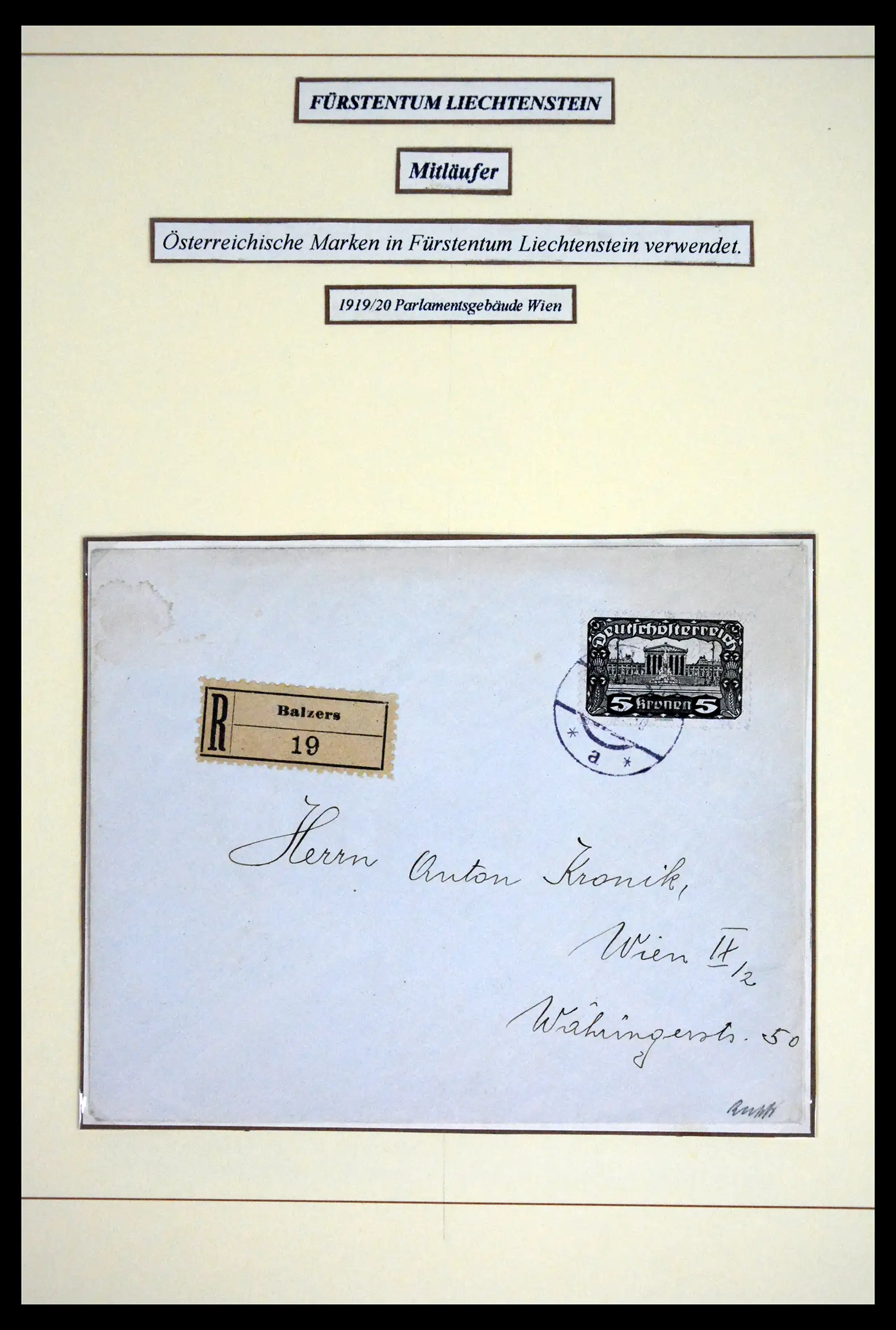 41802 0019 - Postzegelverzameling 41802 Liechtenstein voor- en meelopers 1869-1921.