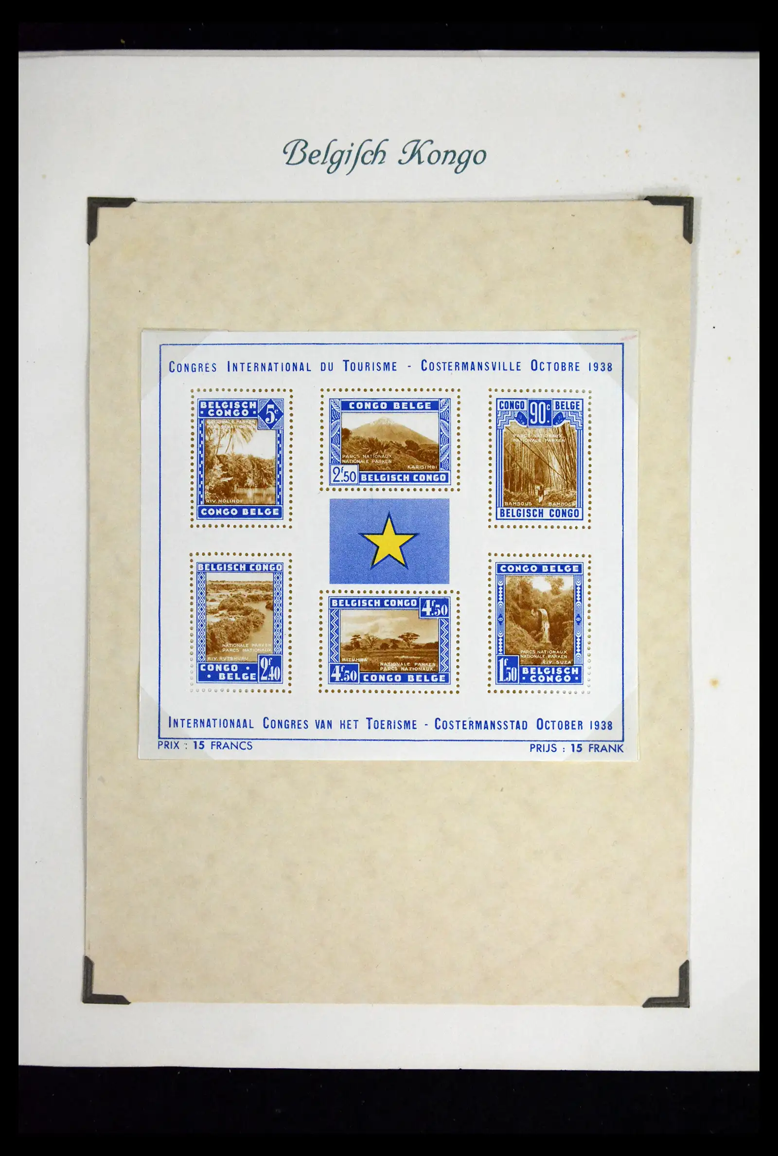 41811 0015 - Stamp collection 41811 Belgian Congo 1886-1939.