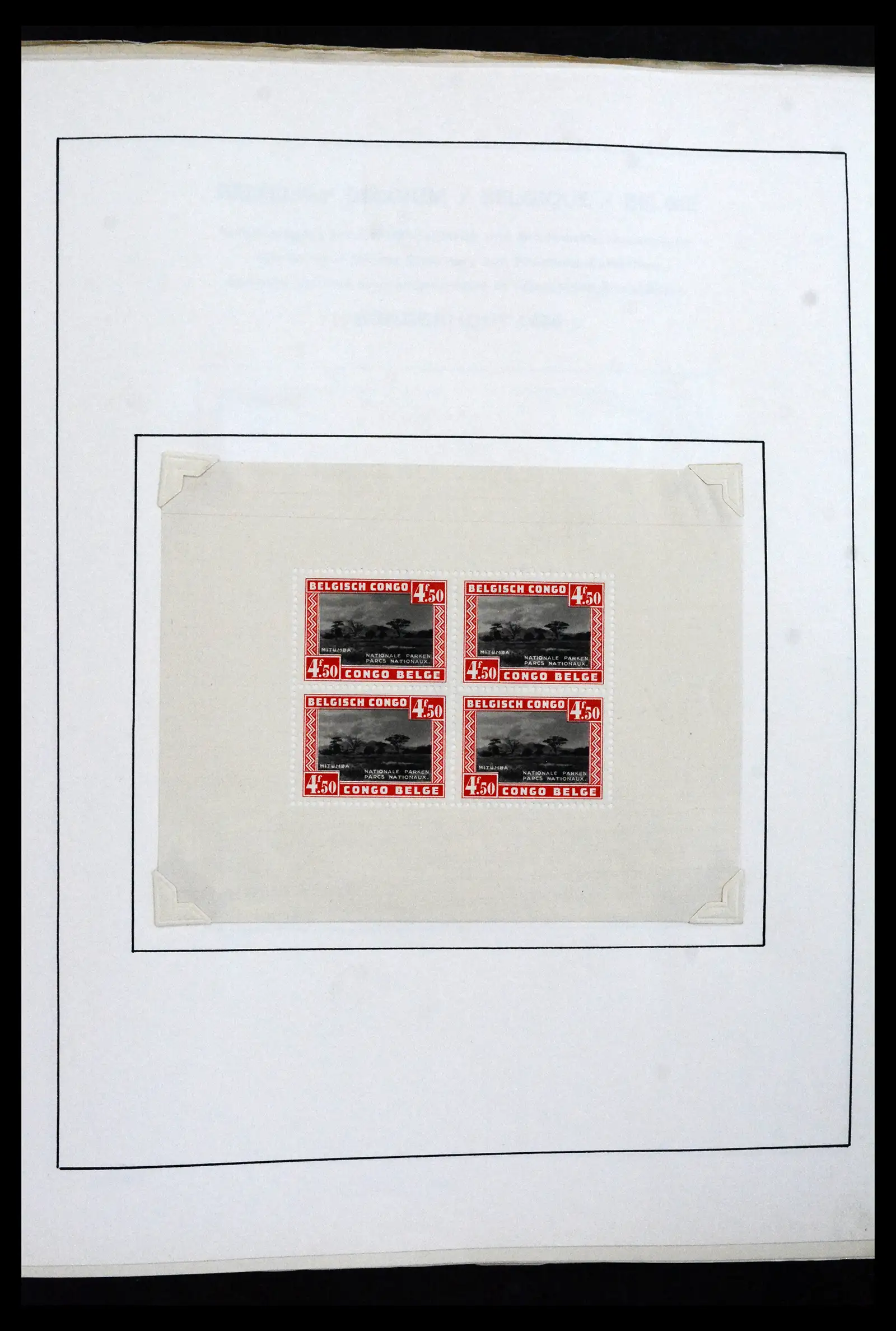 41840 0012 - Stamp collection 41840 World blocs 1925-1961.