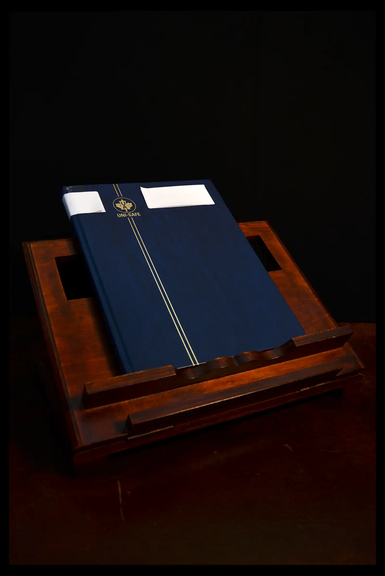 41847 0016 - Postzegelverzameling 41847 Israël 1948-1955.