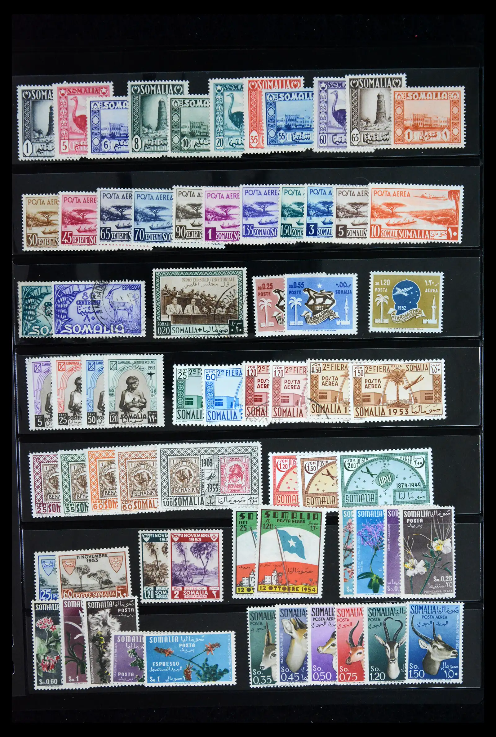 41885 0025 - Stamp collection 41885 Italian Colonies 1893-1941.