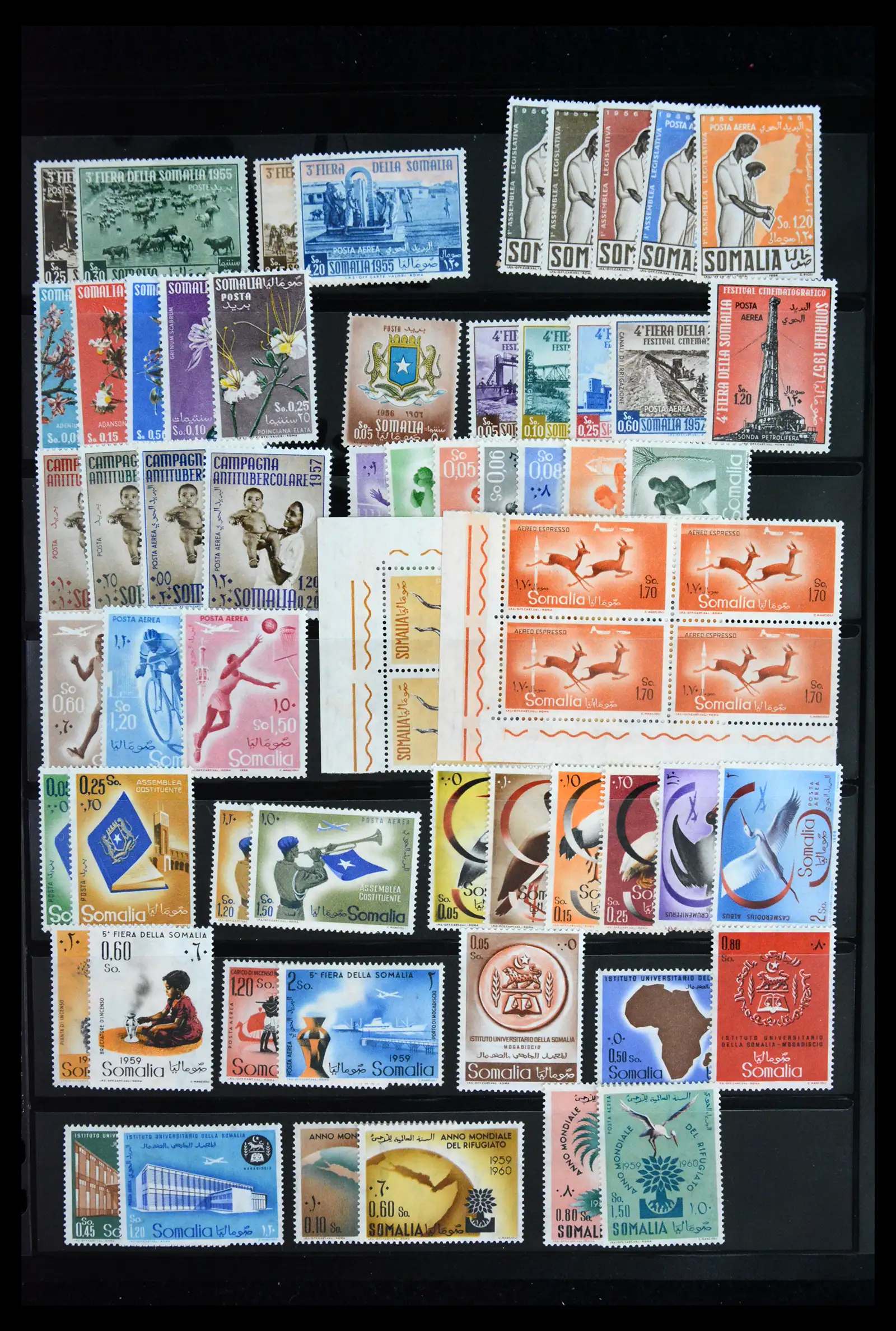 41885 0026 - Stamp collection 41885 Italian Colonies 1893-1941.
