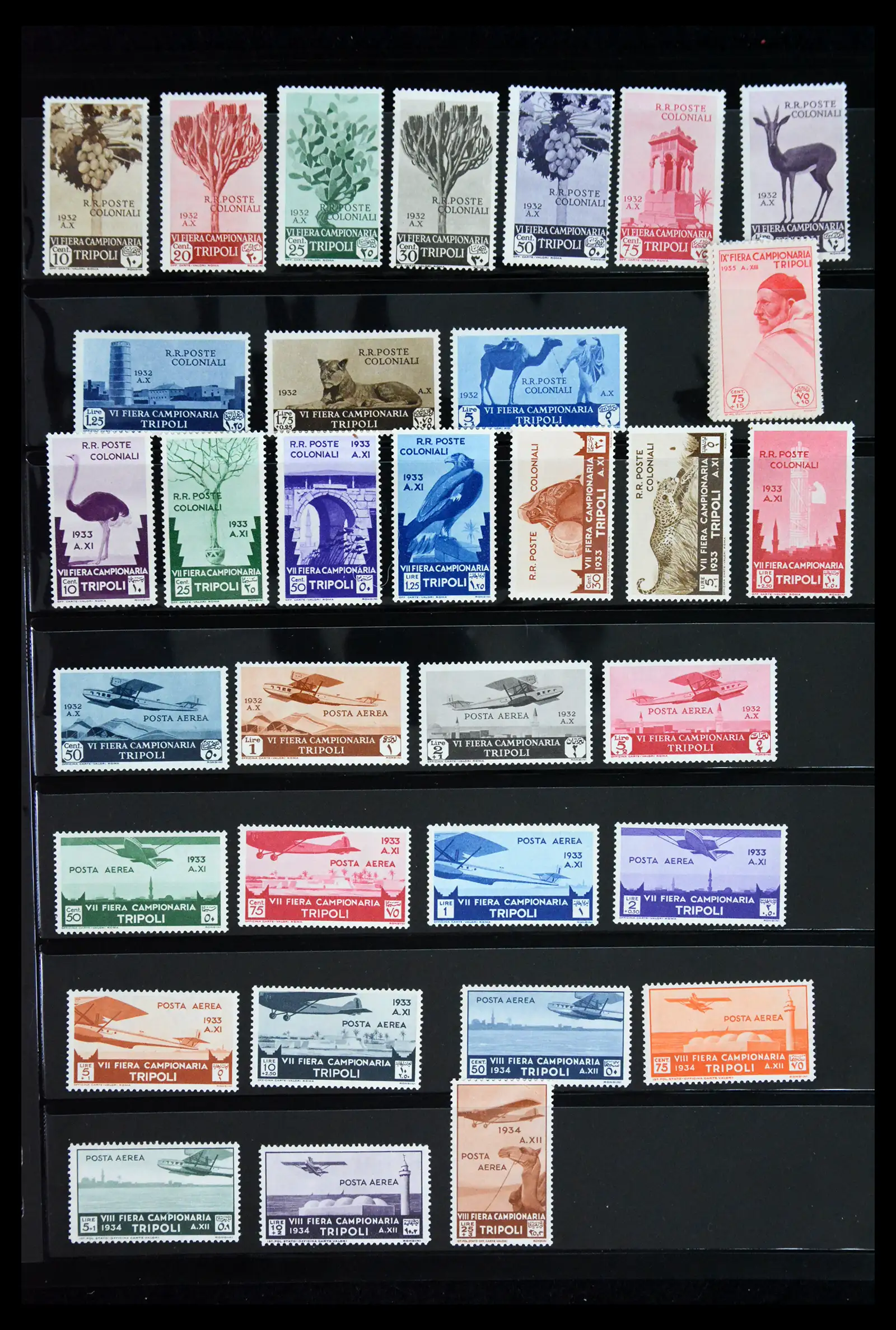 41885 0041 - Stamp collection 41885 Italian Colonies 1893-1941.
