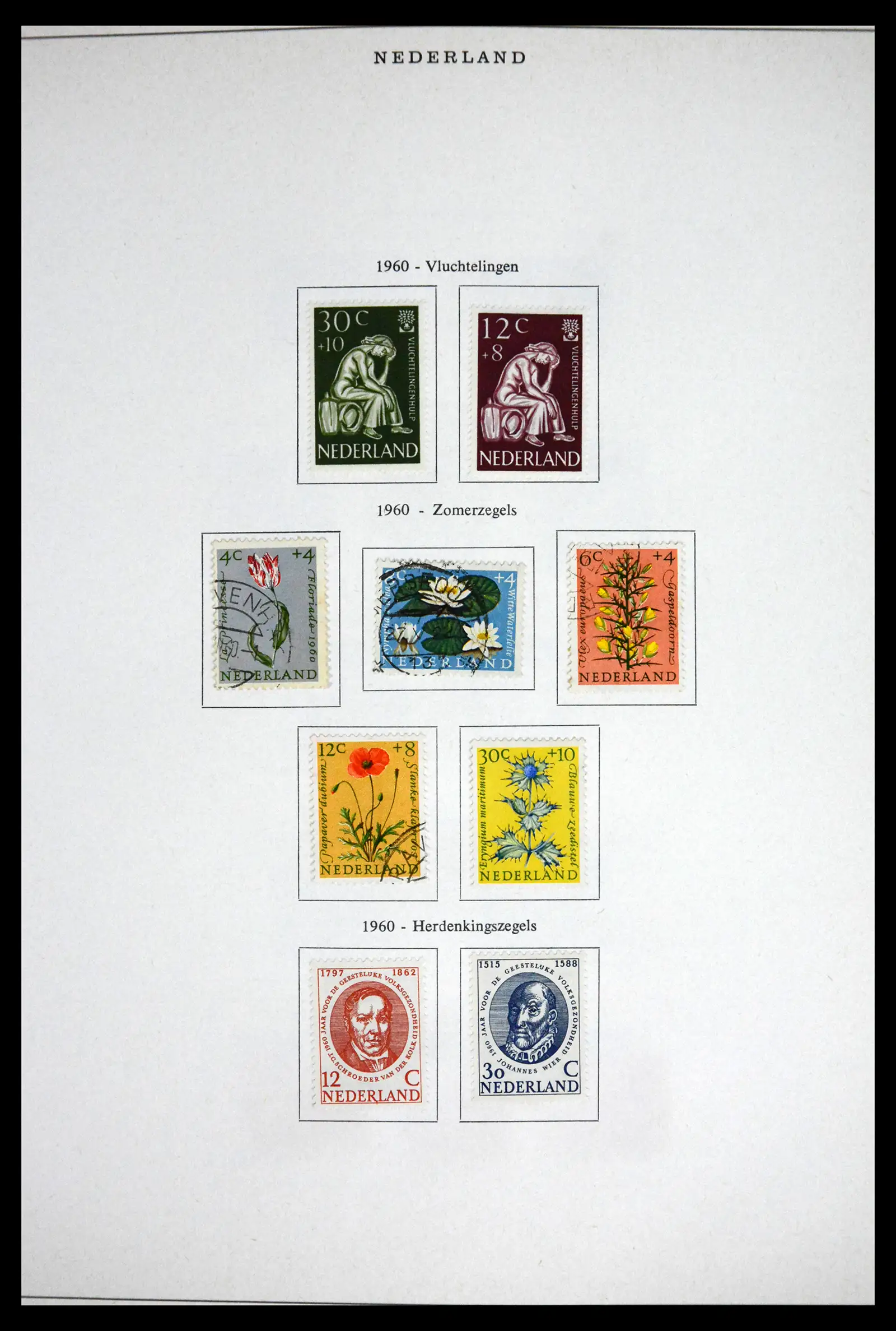 41892 0043