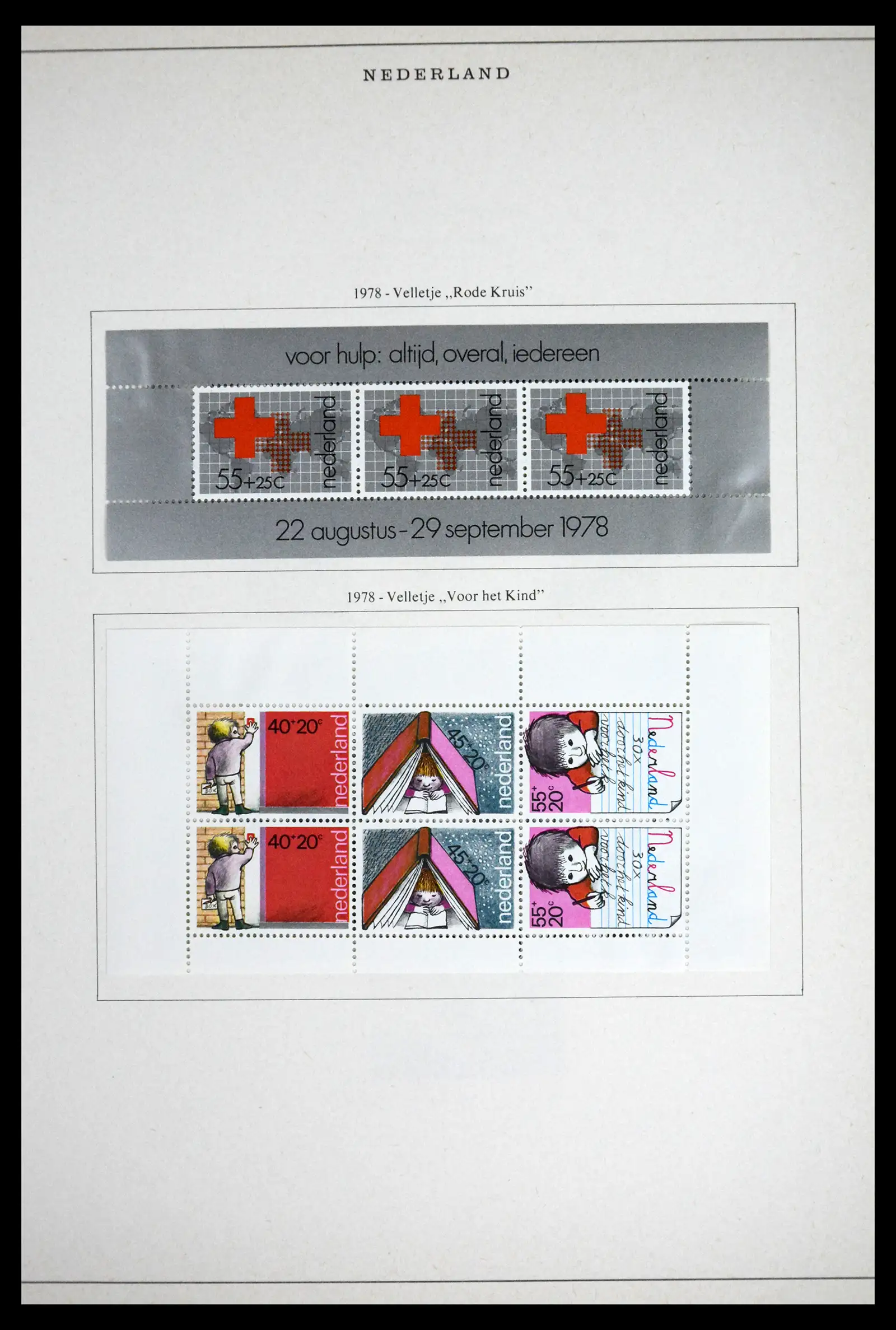 41892 0096
