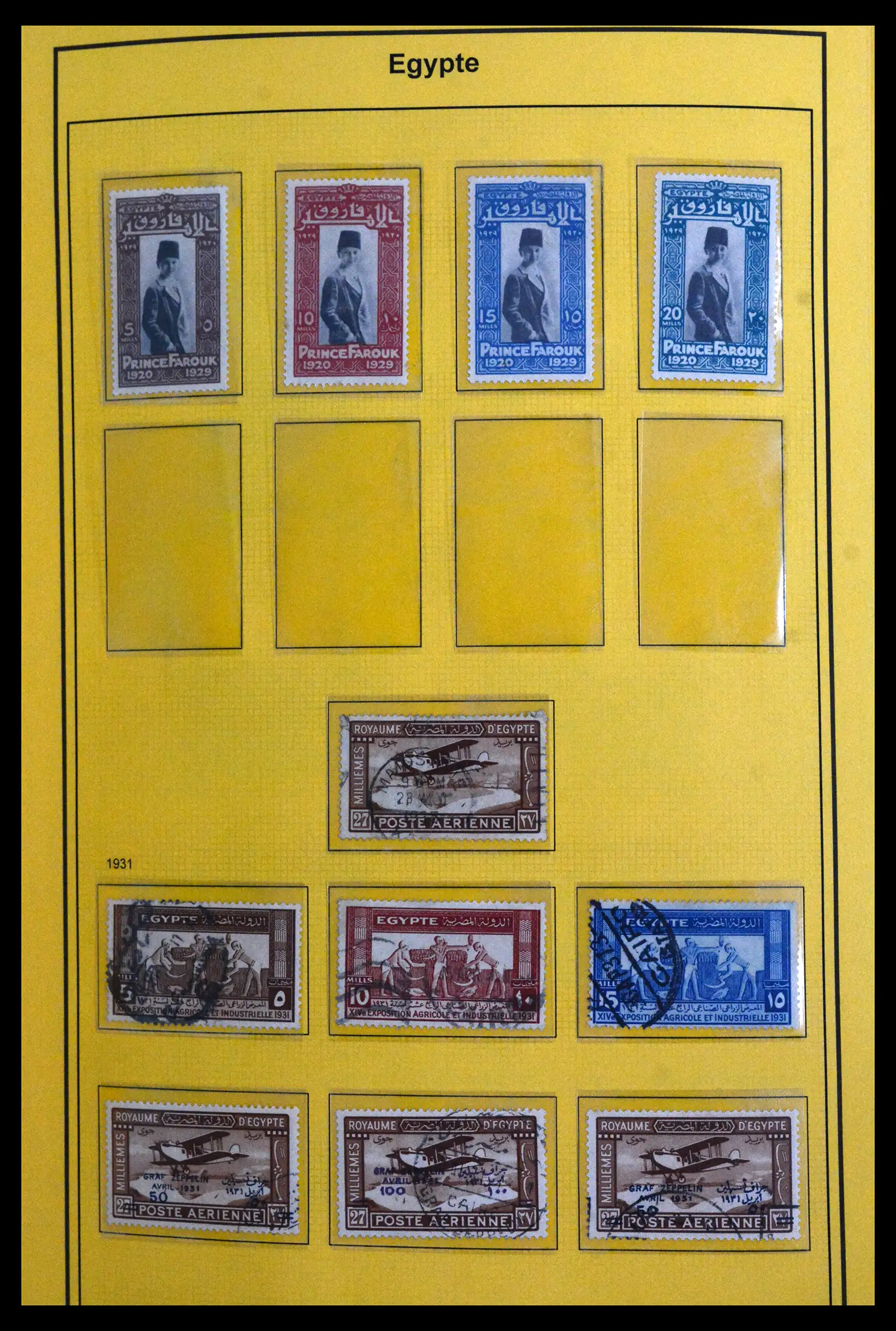 41901 0013