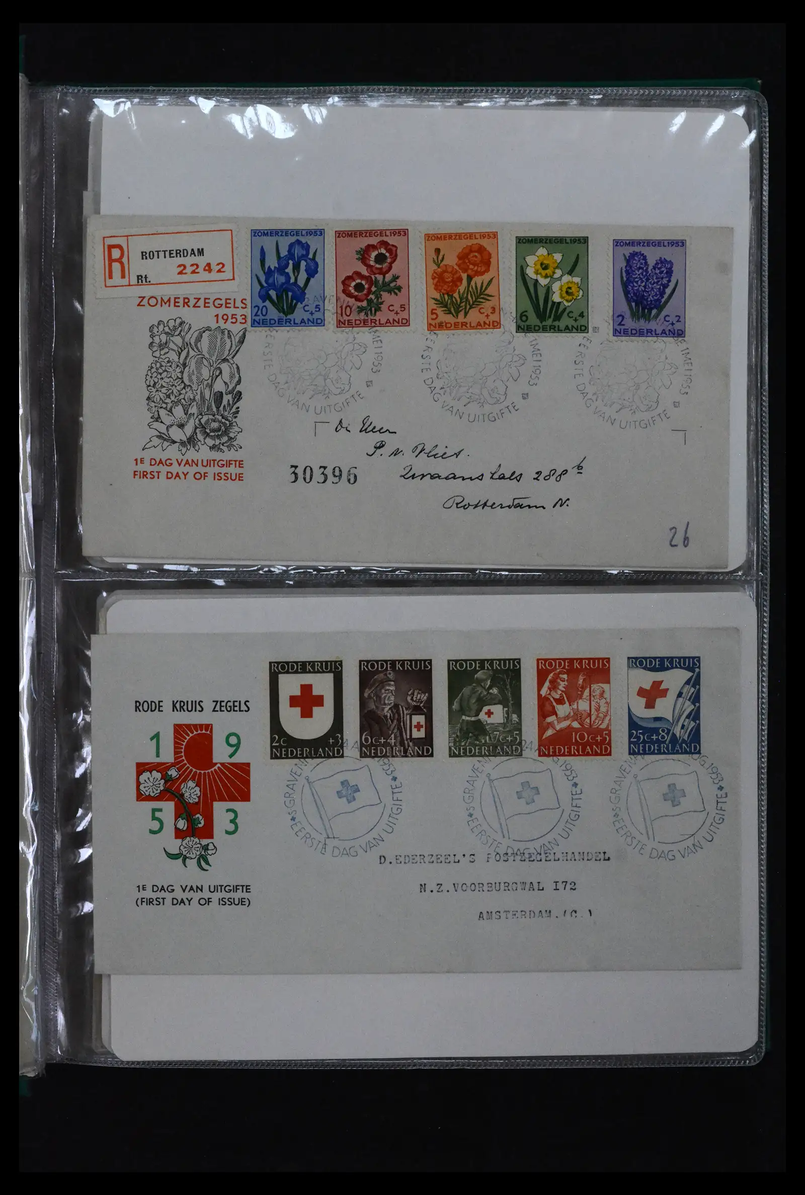 41909 0007