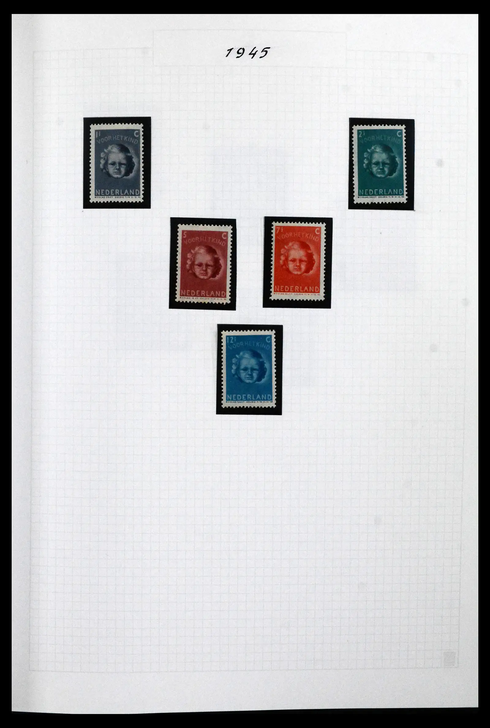 41913 0019