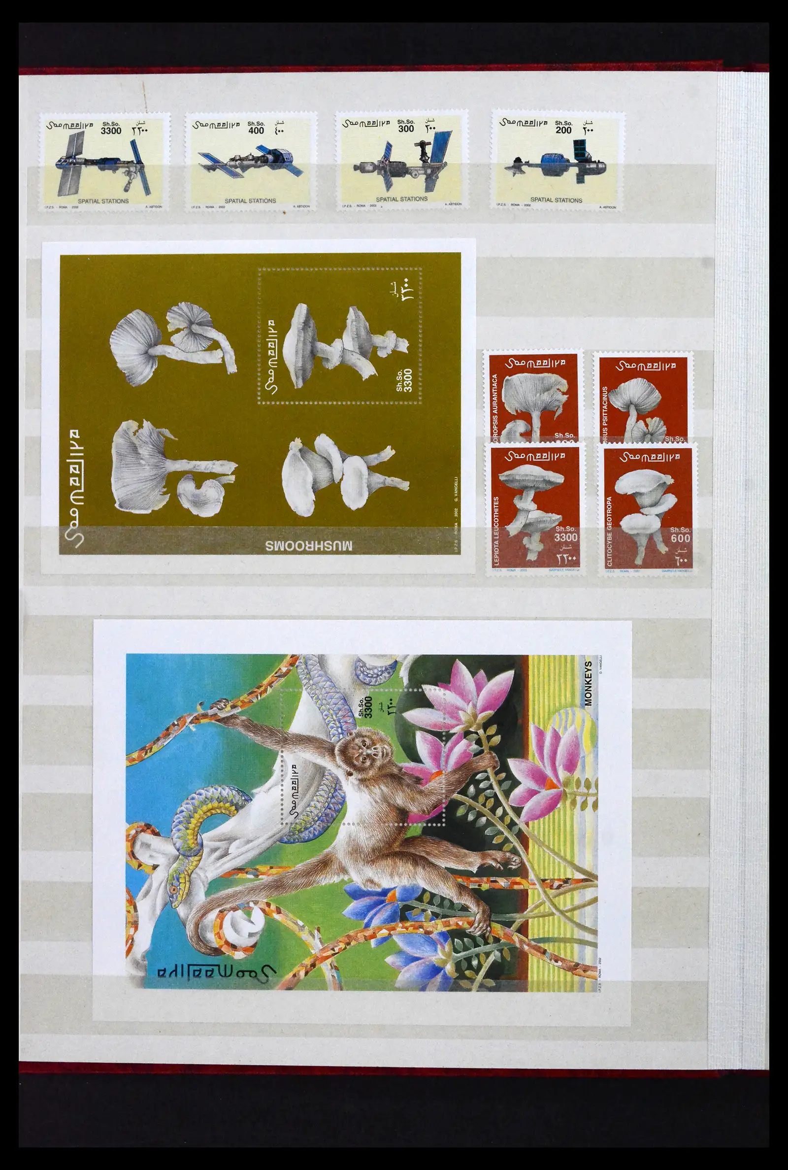 41916 0006 - Stamp collection 41916 Somalia 1960-2003.