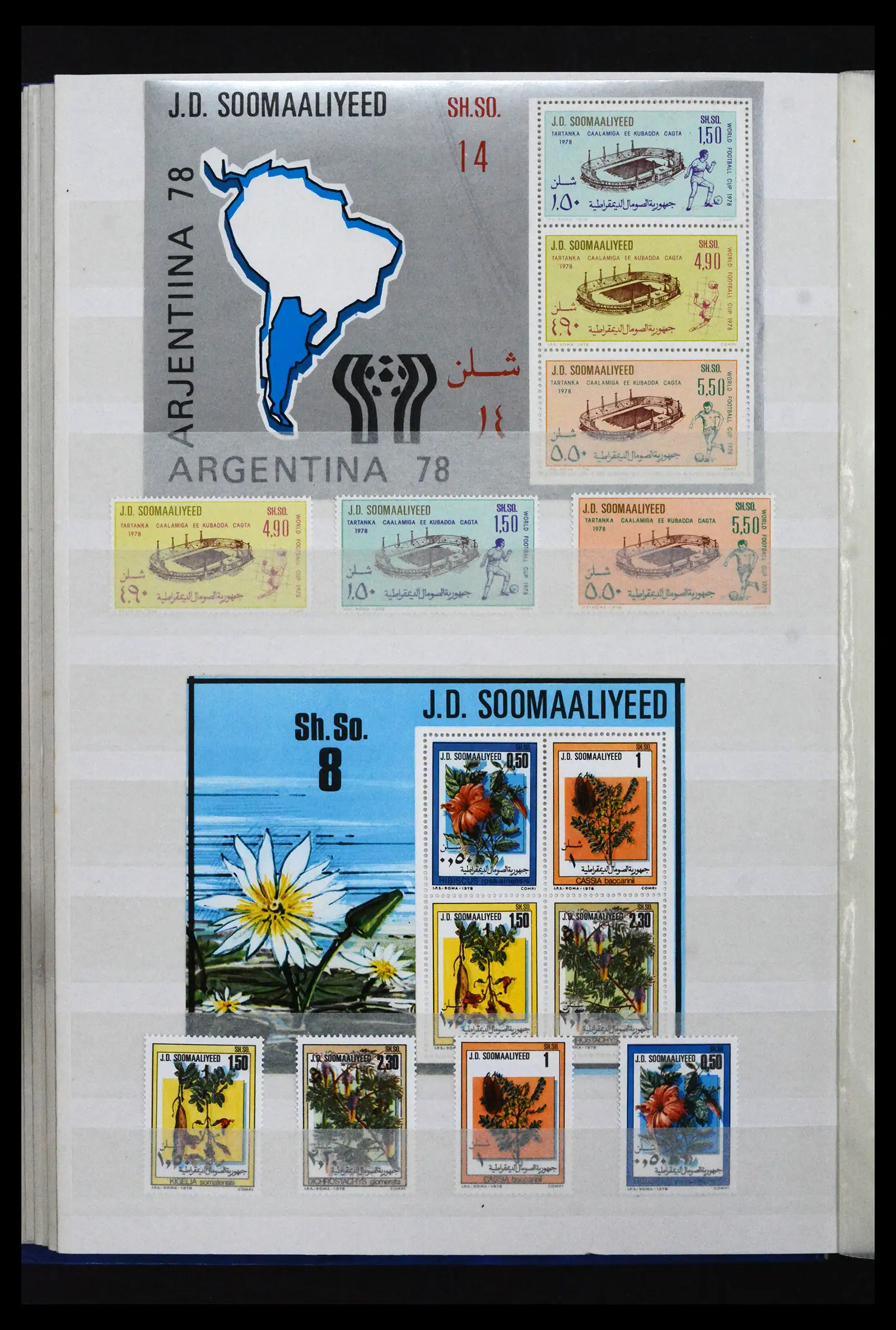 41916 0024 - Stamp collection 41916 Somalia 1960-2003.