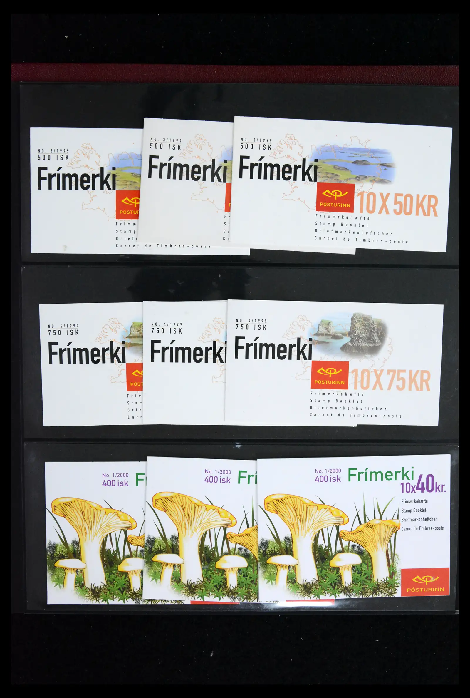 41919 0013 - Stamp collection 41919 Iceland stamp booklets 1987-2015.