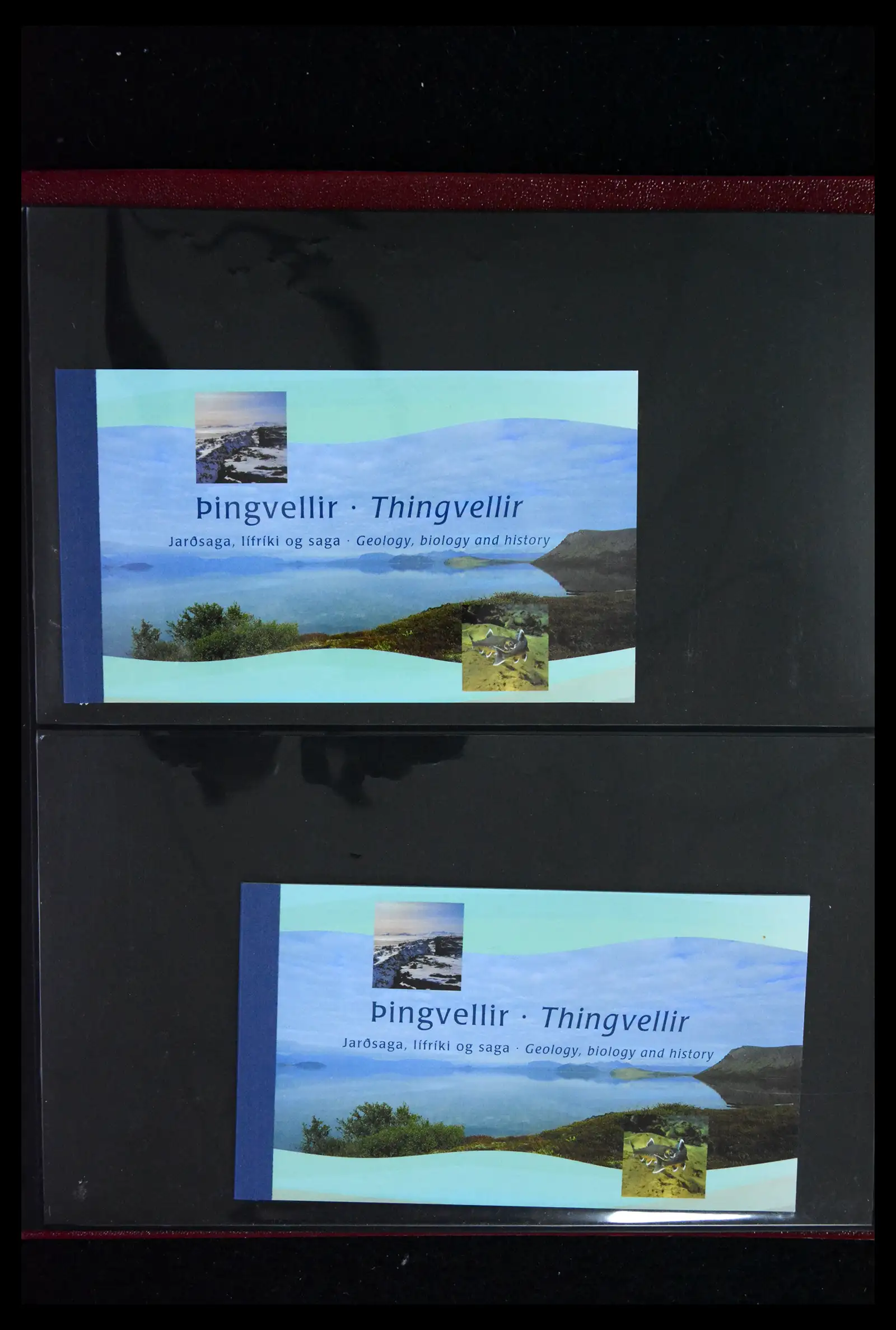 41919 0047 - Stamp collection 41919 Iceland stamp booklets 1987-2015.
