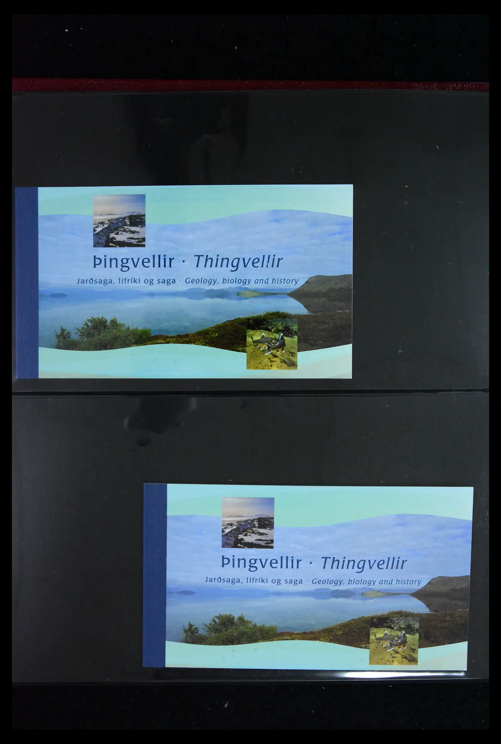 41919 0048 - Stamp collection 41919 Iceland stamp booklets 1987-2015.