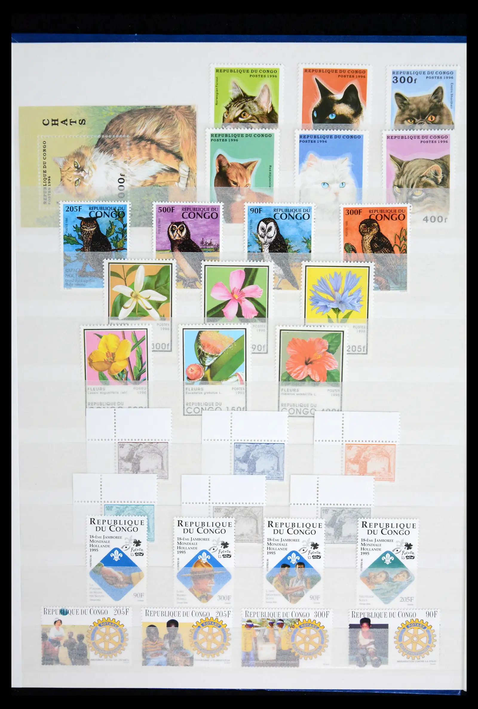 41928 0070 - Stamp collection 41928 Congo 1959-2000.