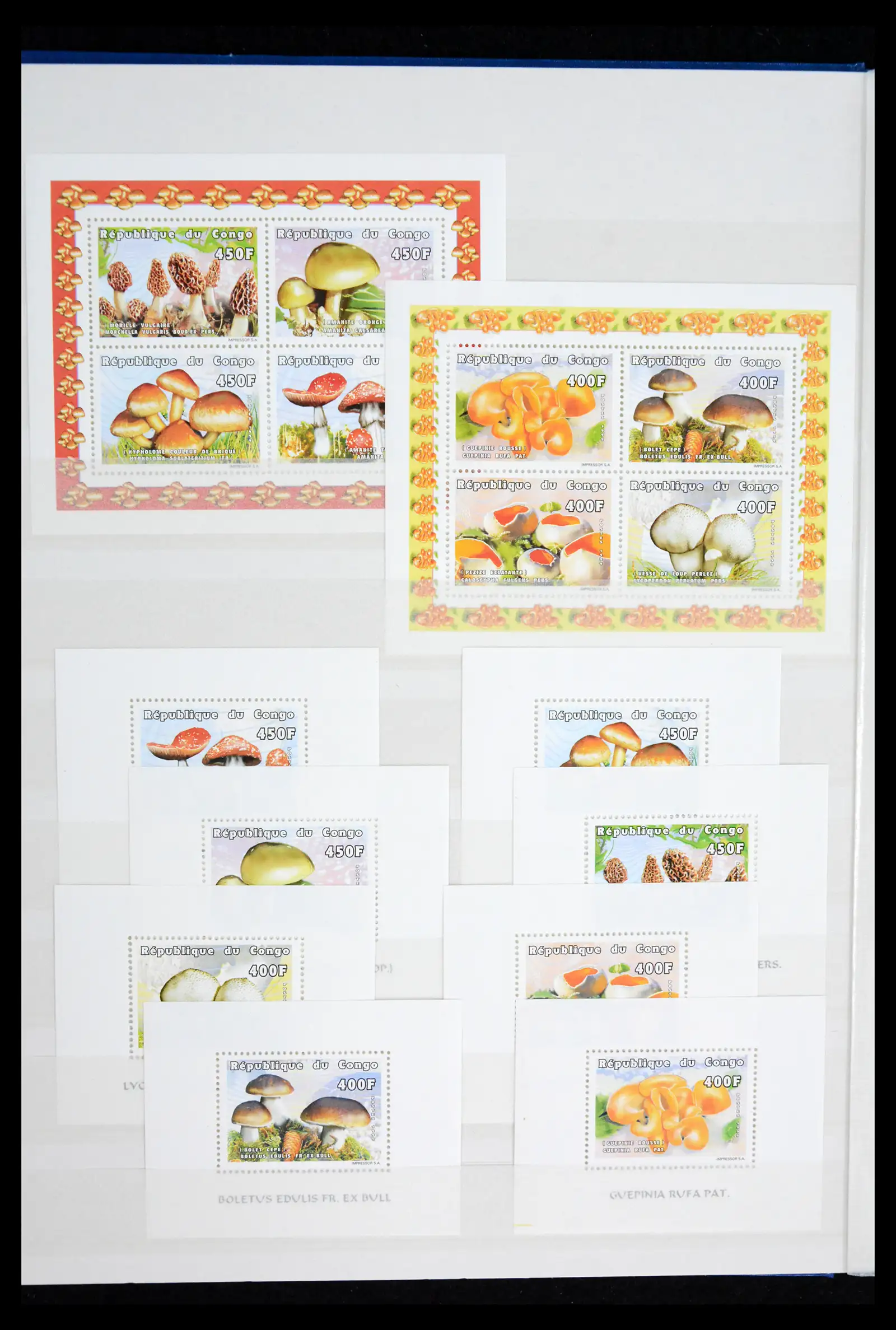 41928 0076 - Stamp collection 41928 Congo 1959-2000.