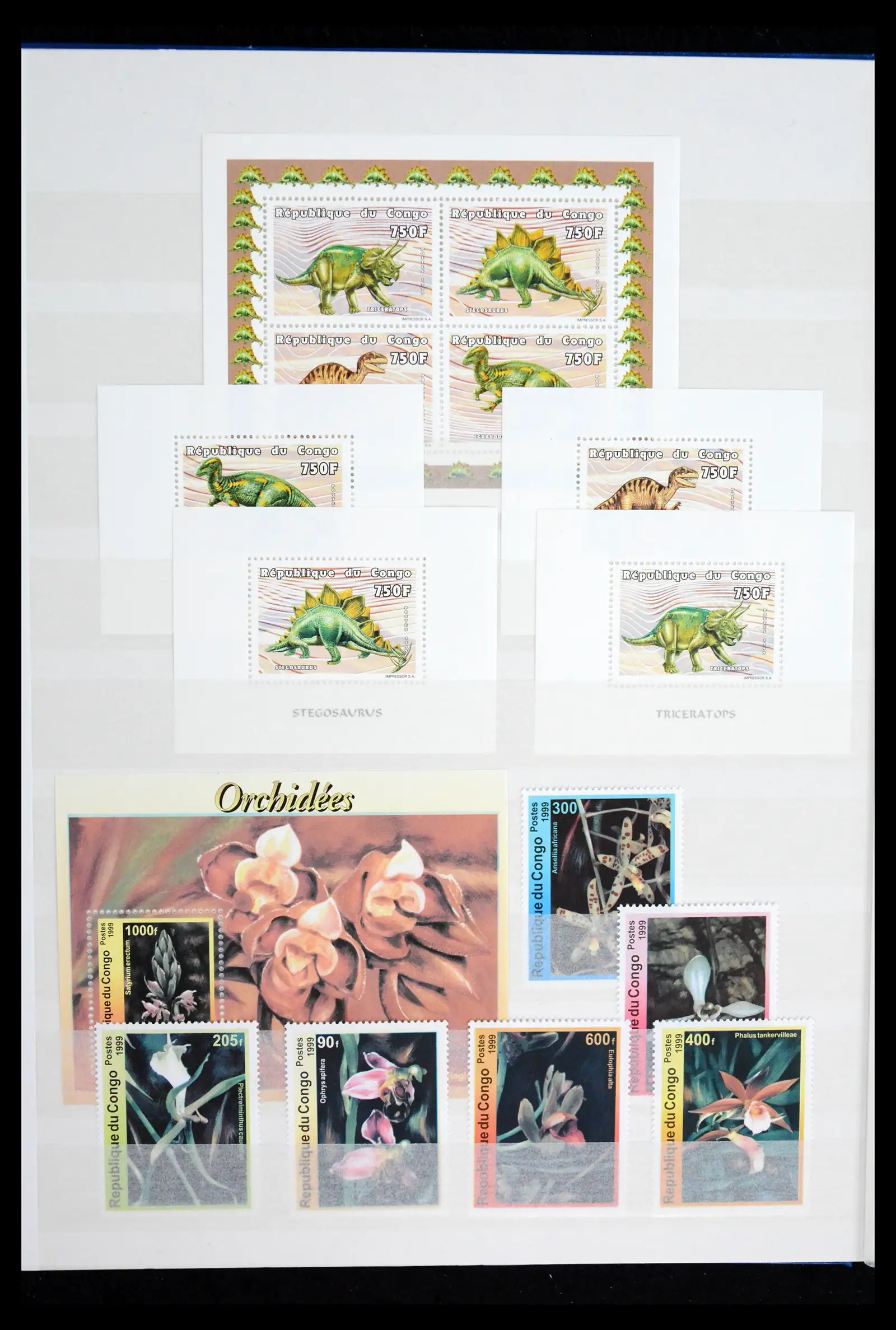 41928 0078 - Stamp collection 41928 Congo 1959-2000.
