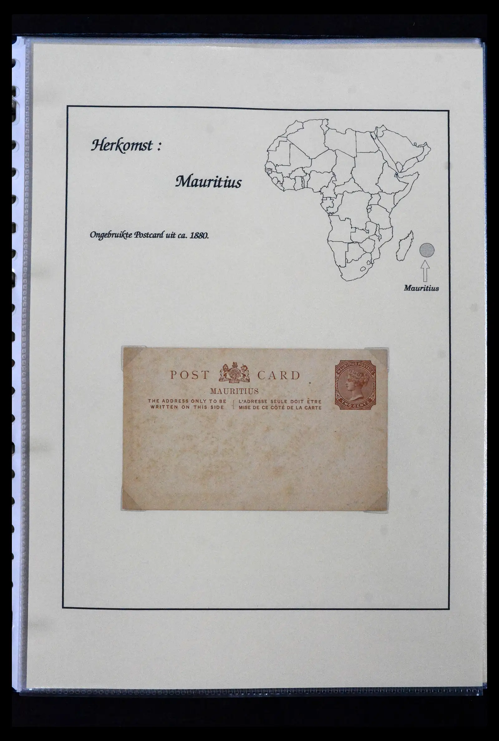 41952 0007