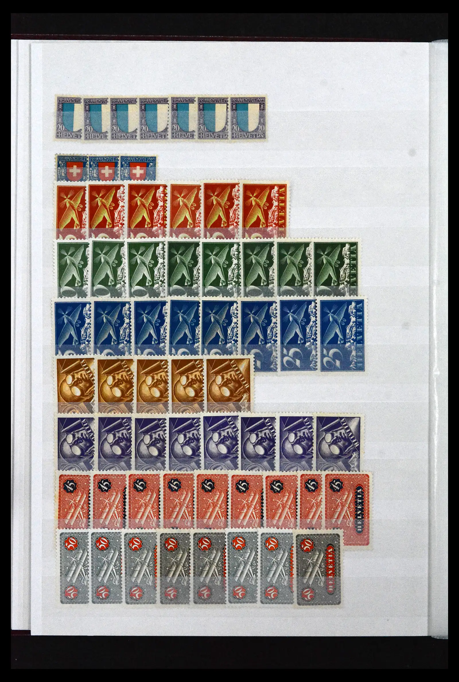 41956 0013