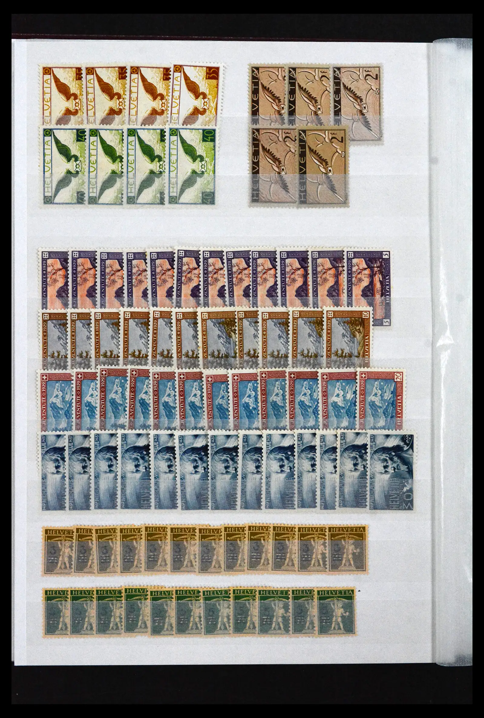 41956 0019