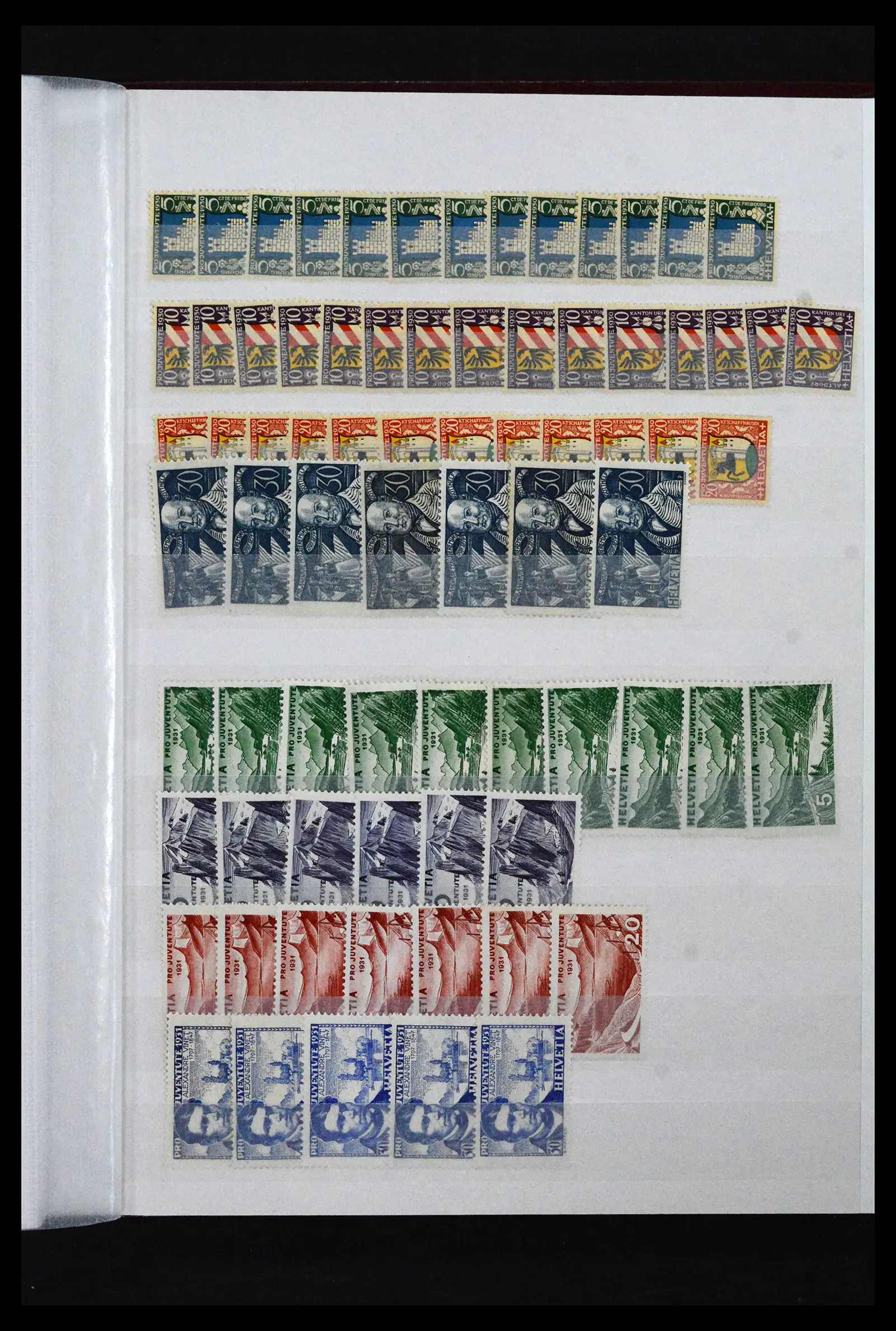 41956 0020
