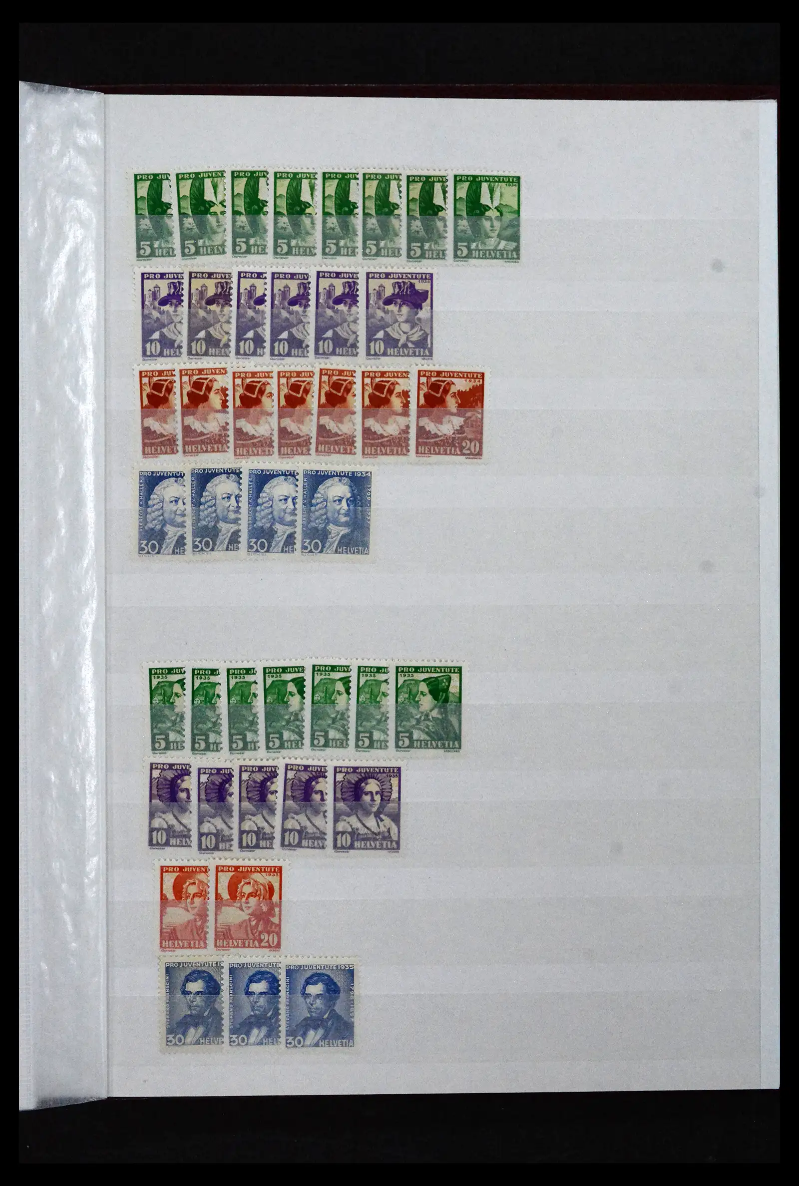 41956 0024