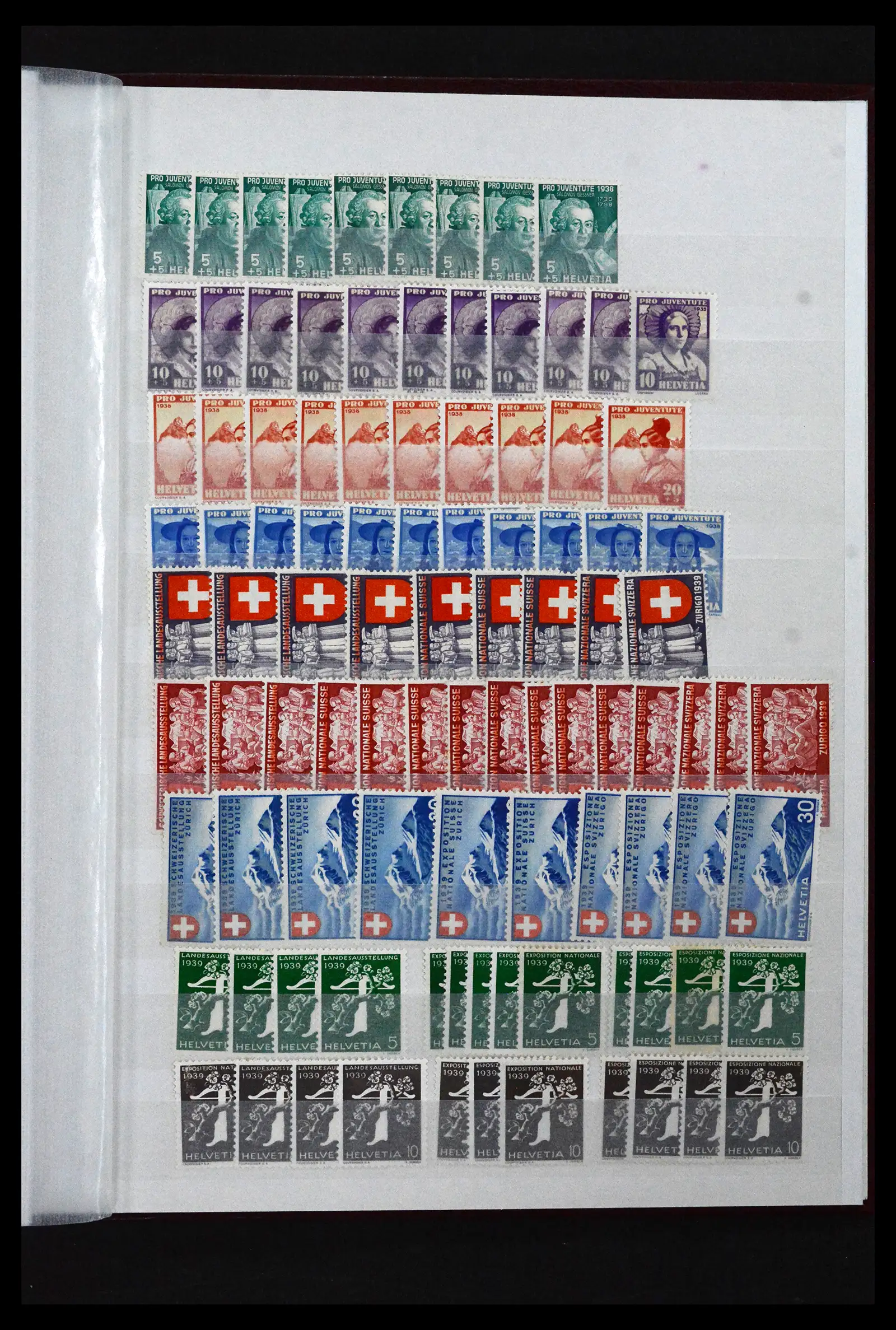 41956 0028