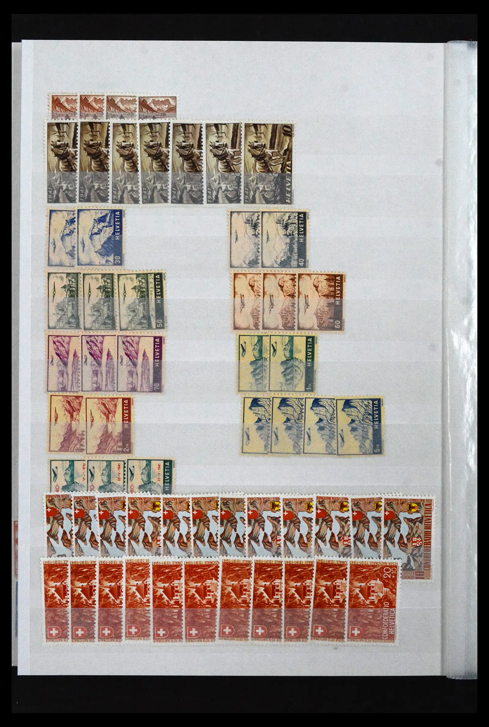 41956 0031