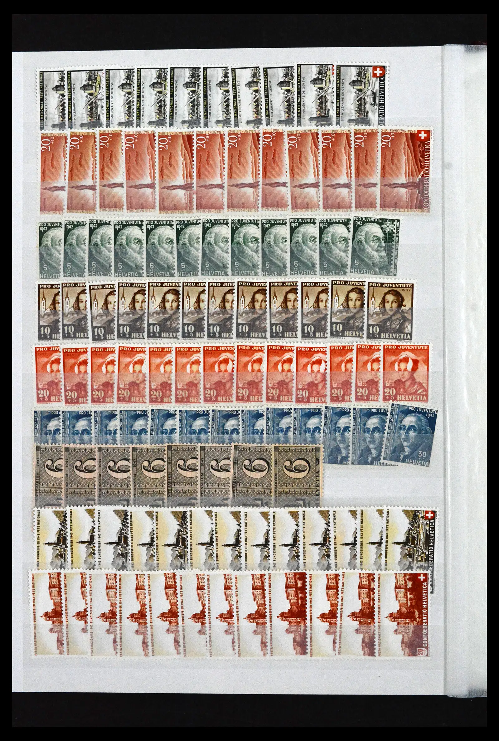 41956 0033