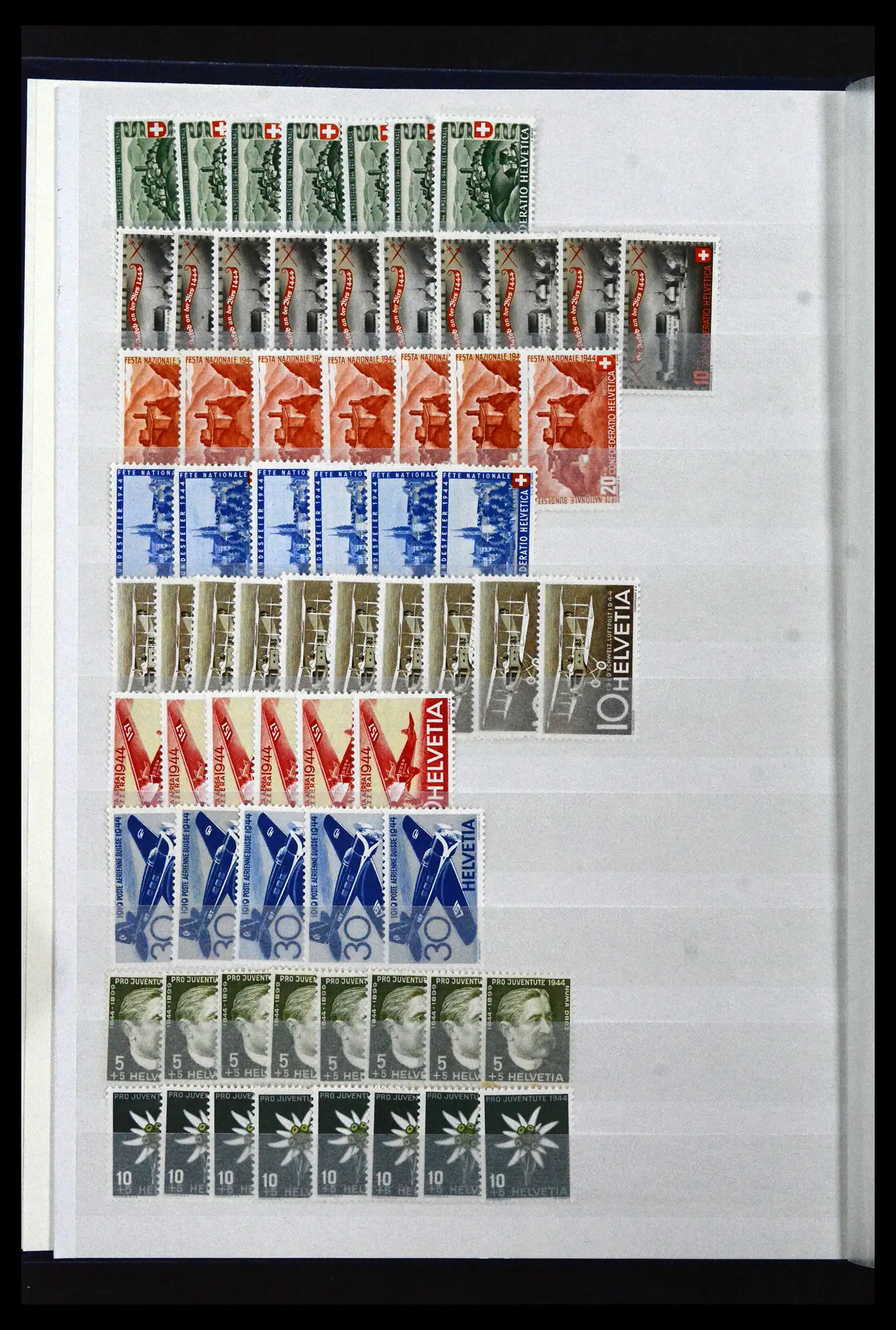 41956 0035