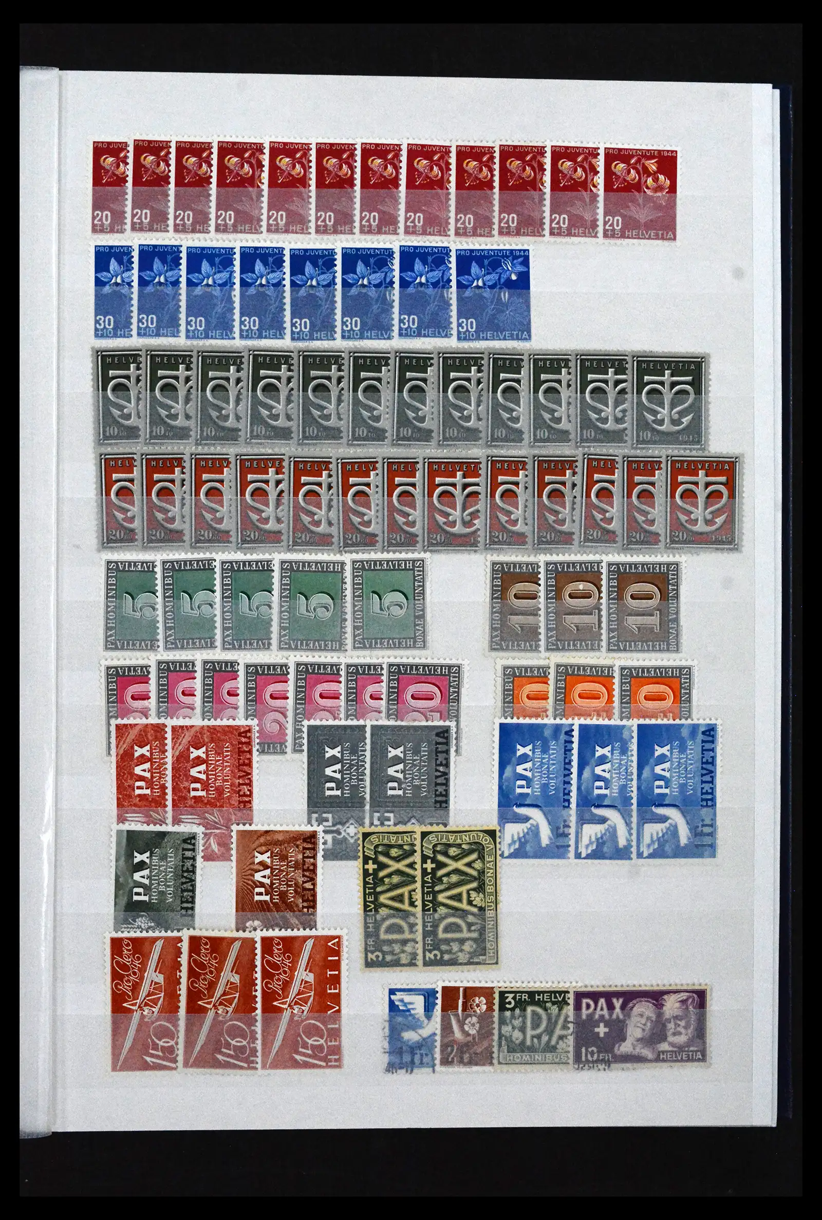 41956 0036