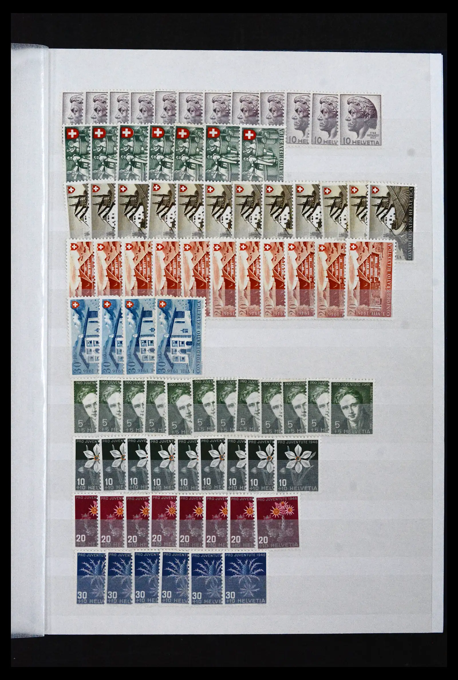 41956 0038