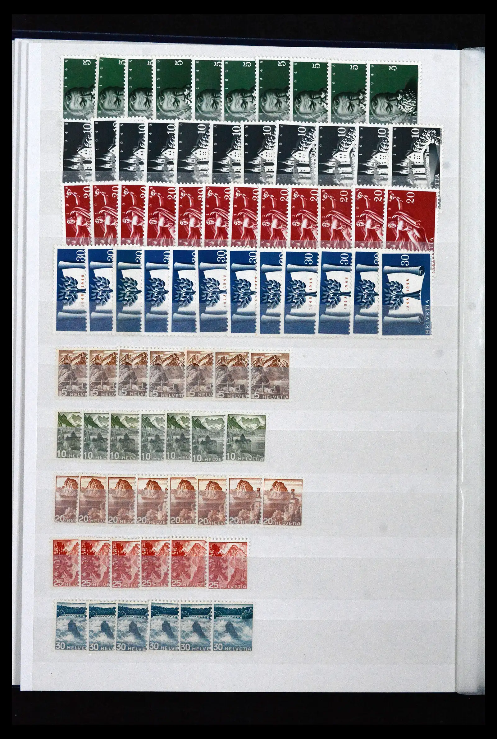 41956 0041