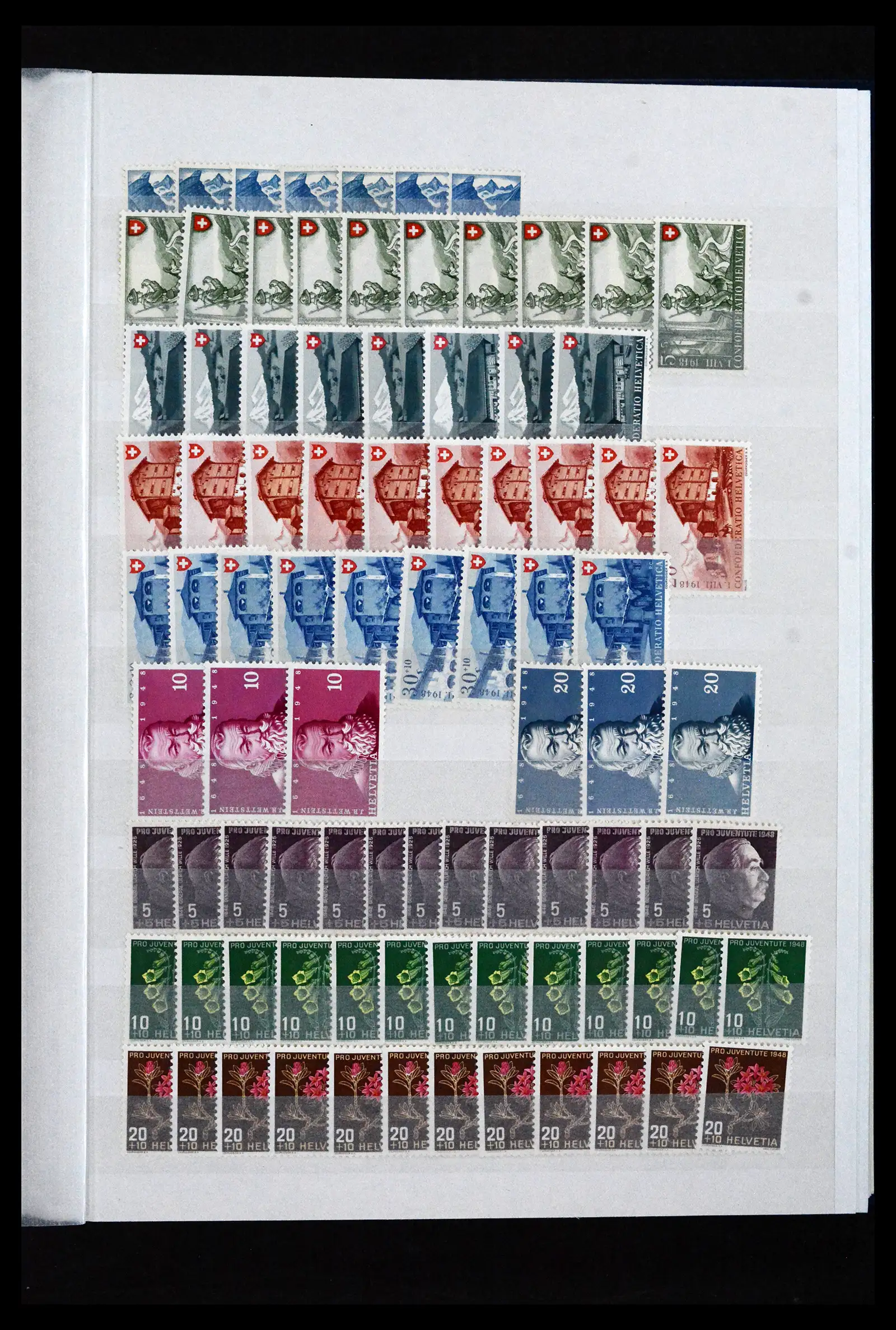 41956 0042
