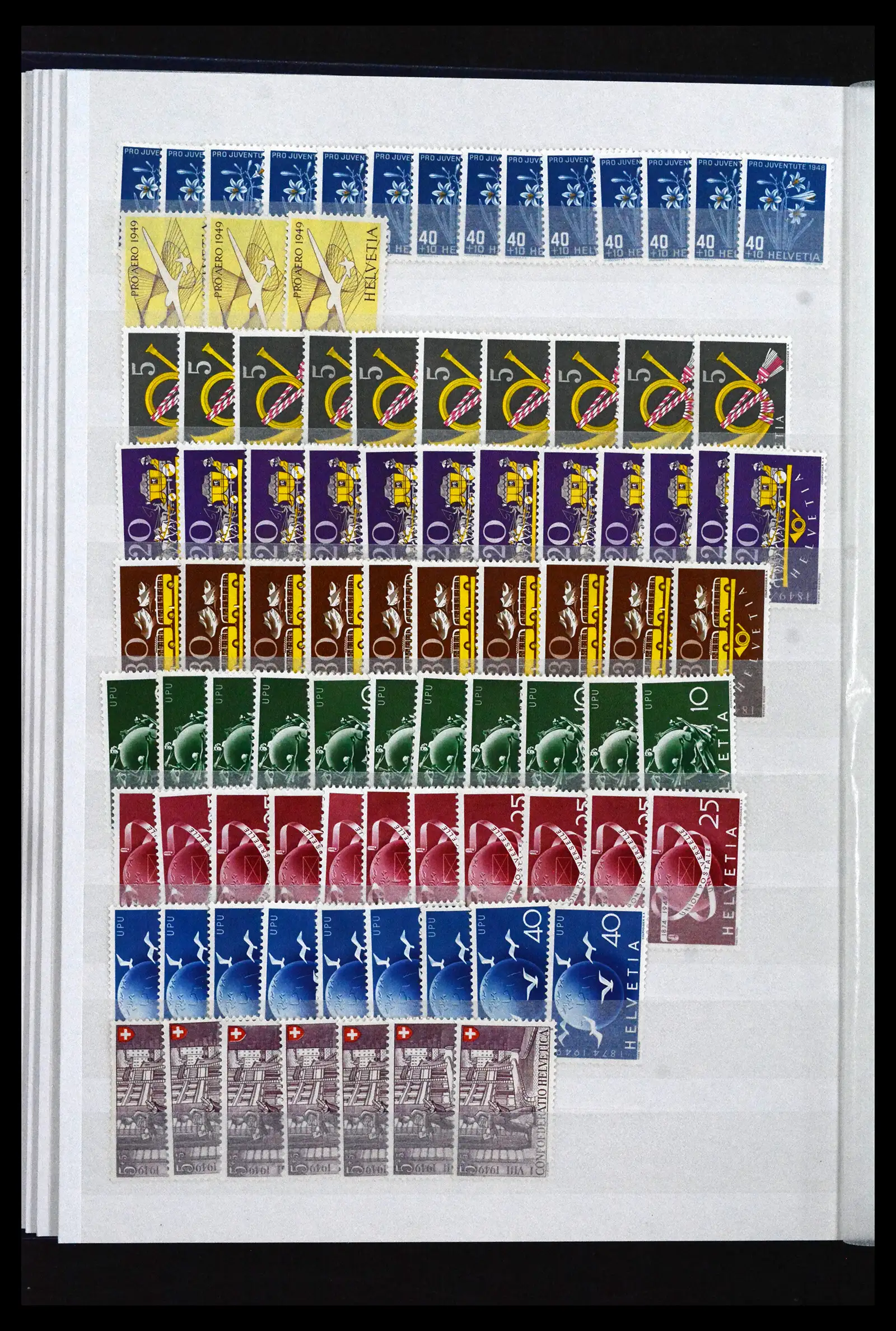 41956 0043
