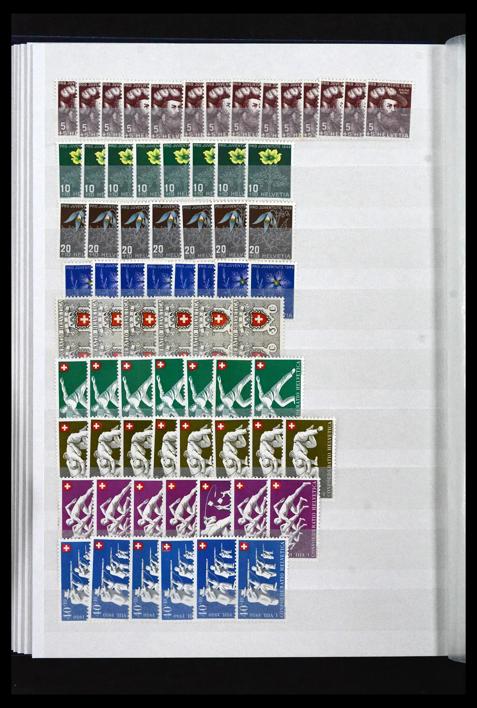 41956 0045