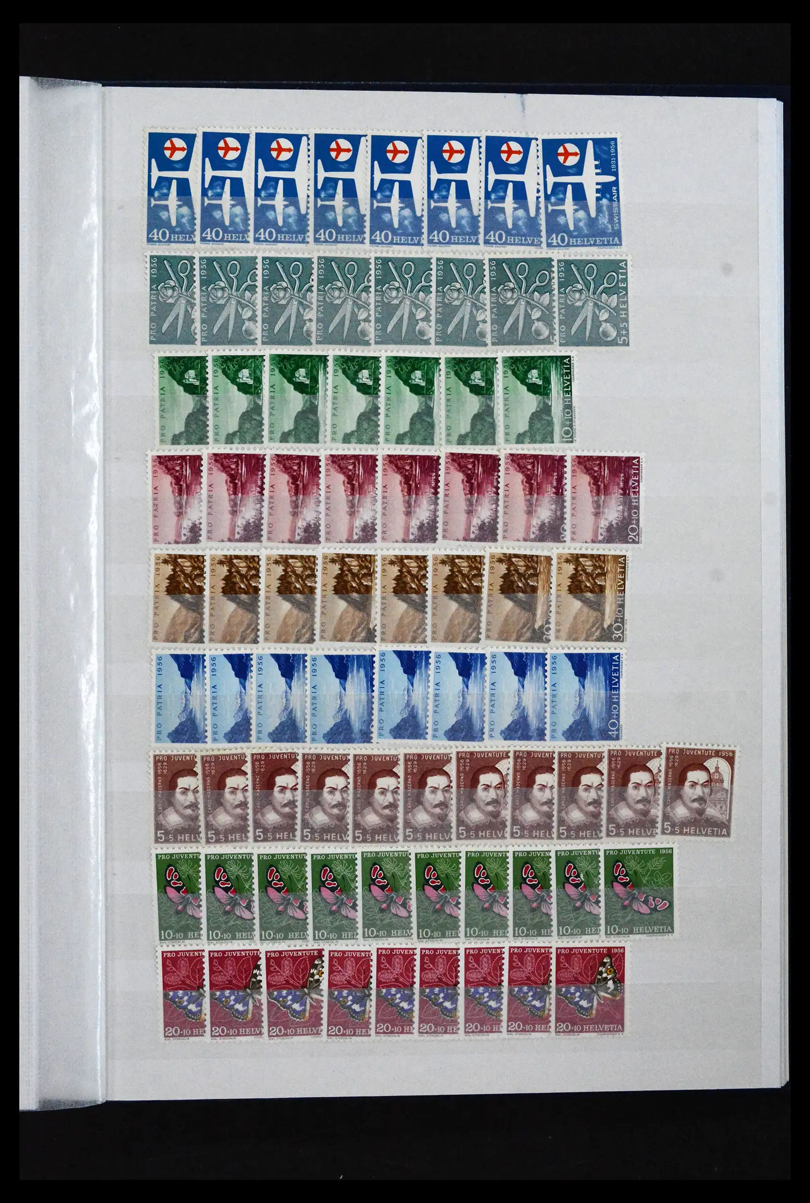 41956 0054
