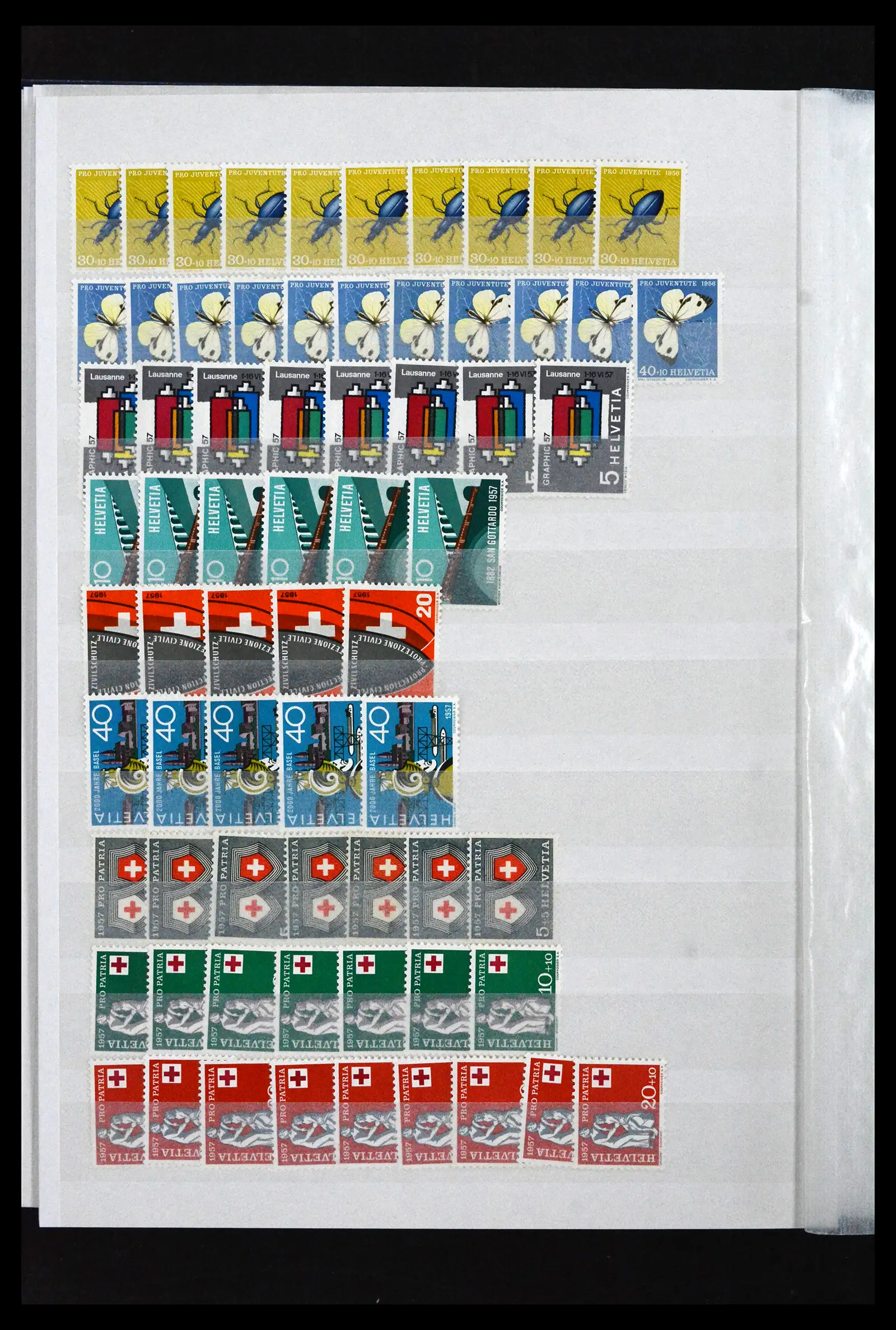 41956 0055