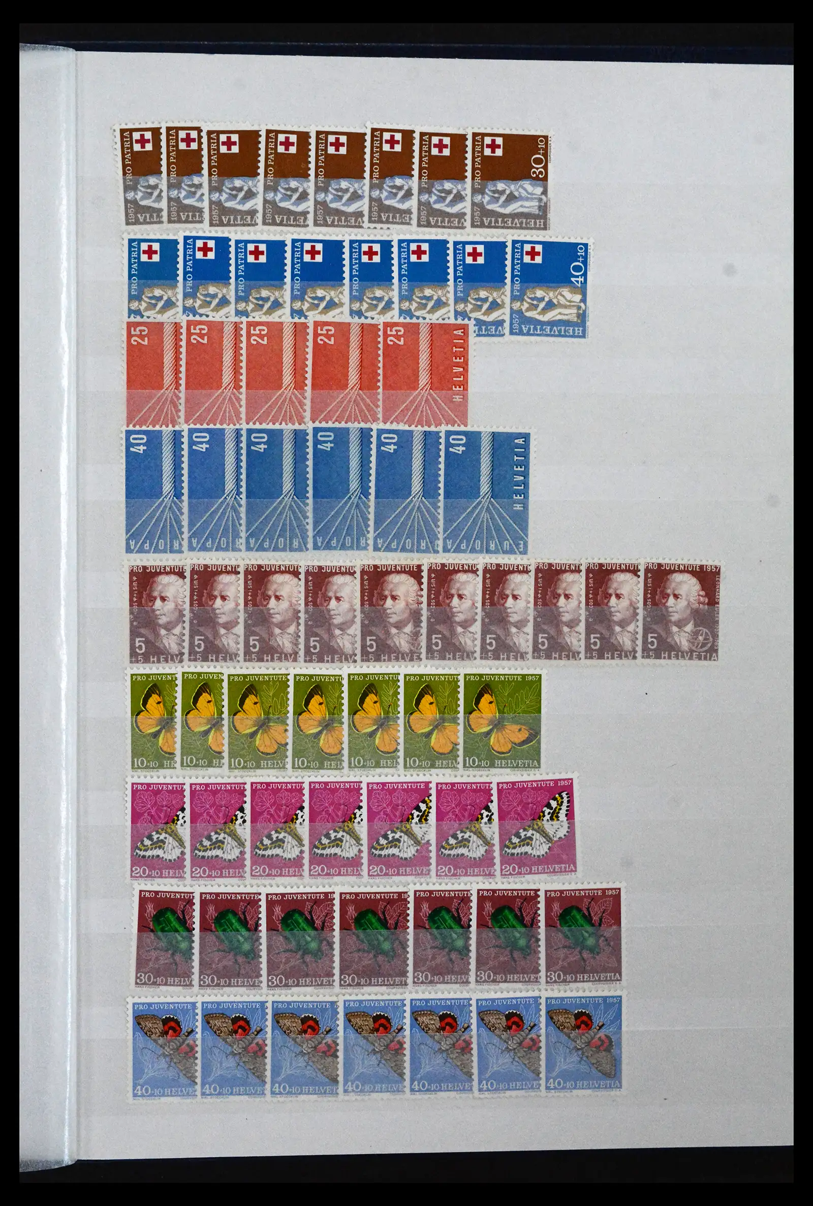 41956 0056
