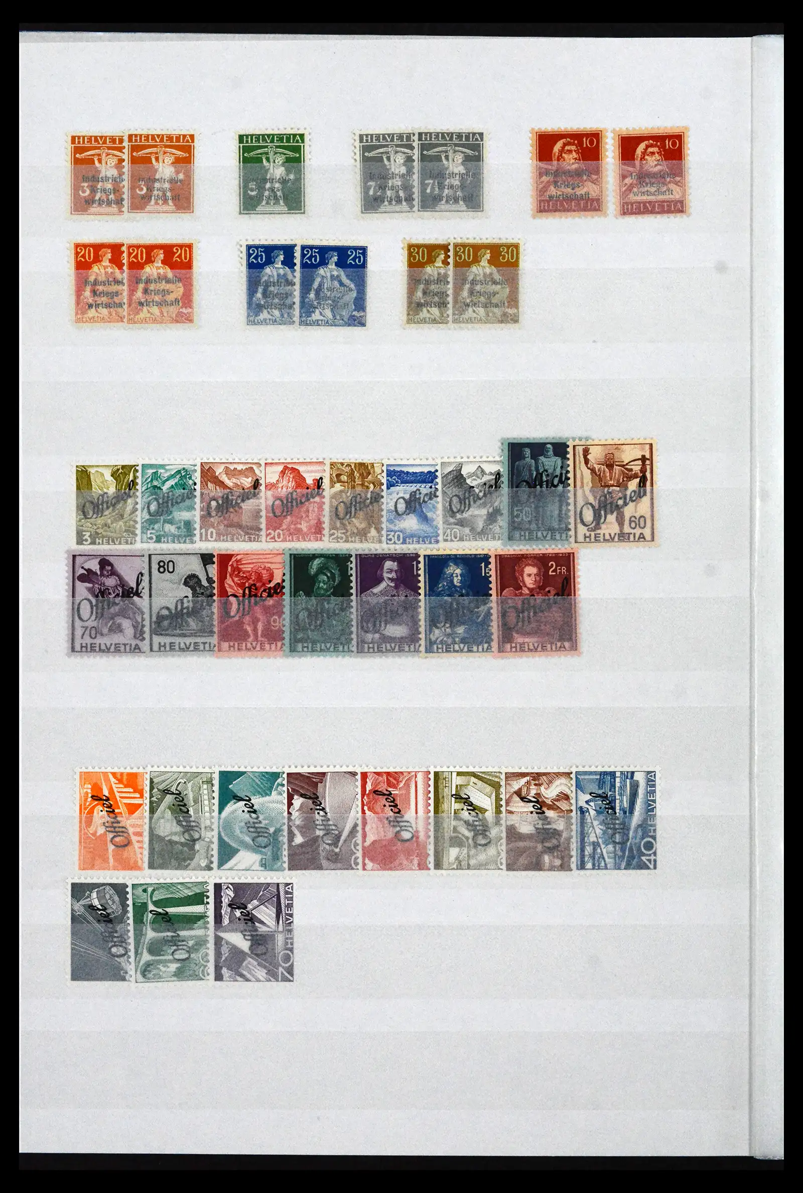 41956 0059
