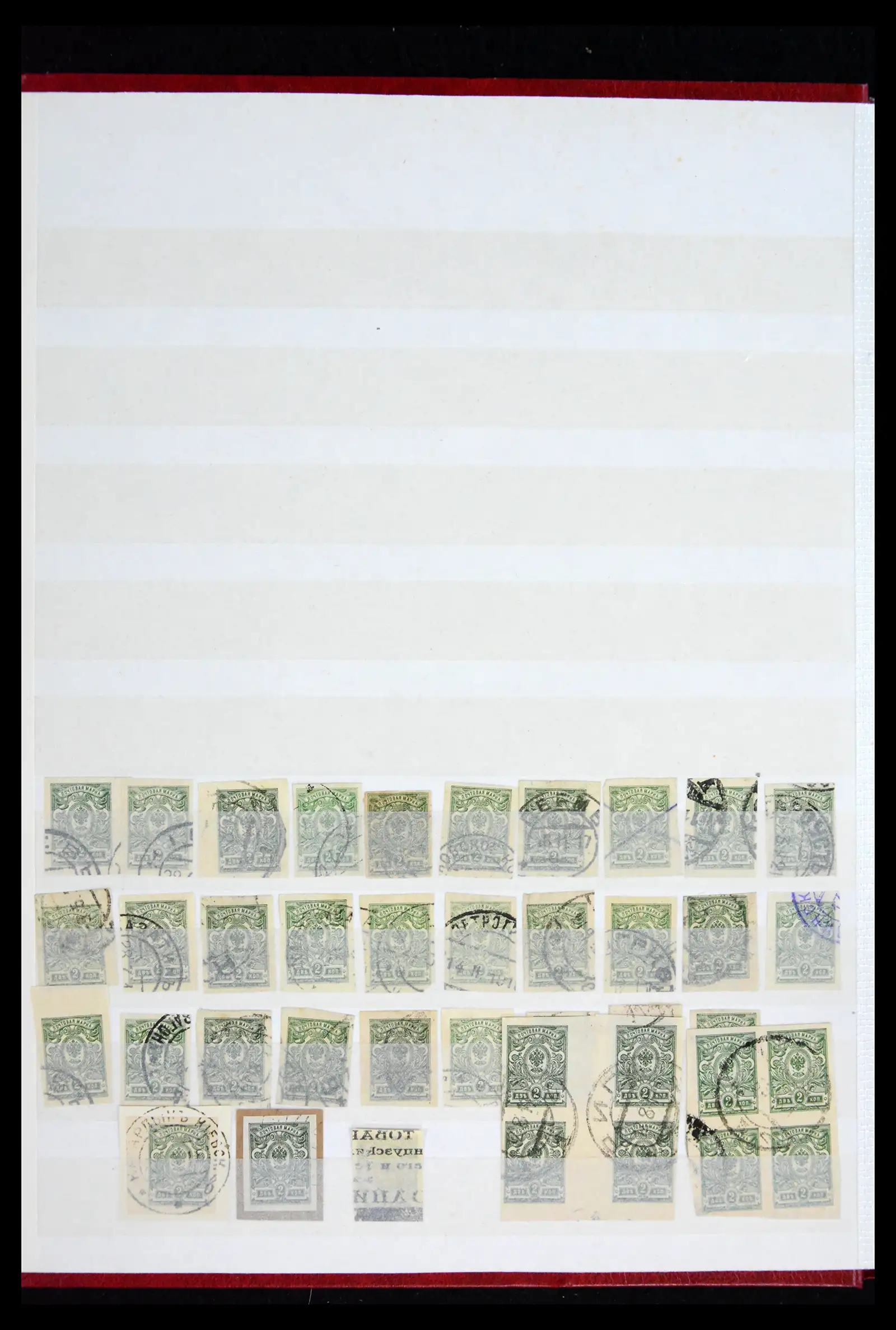 41965 0081