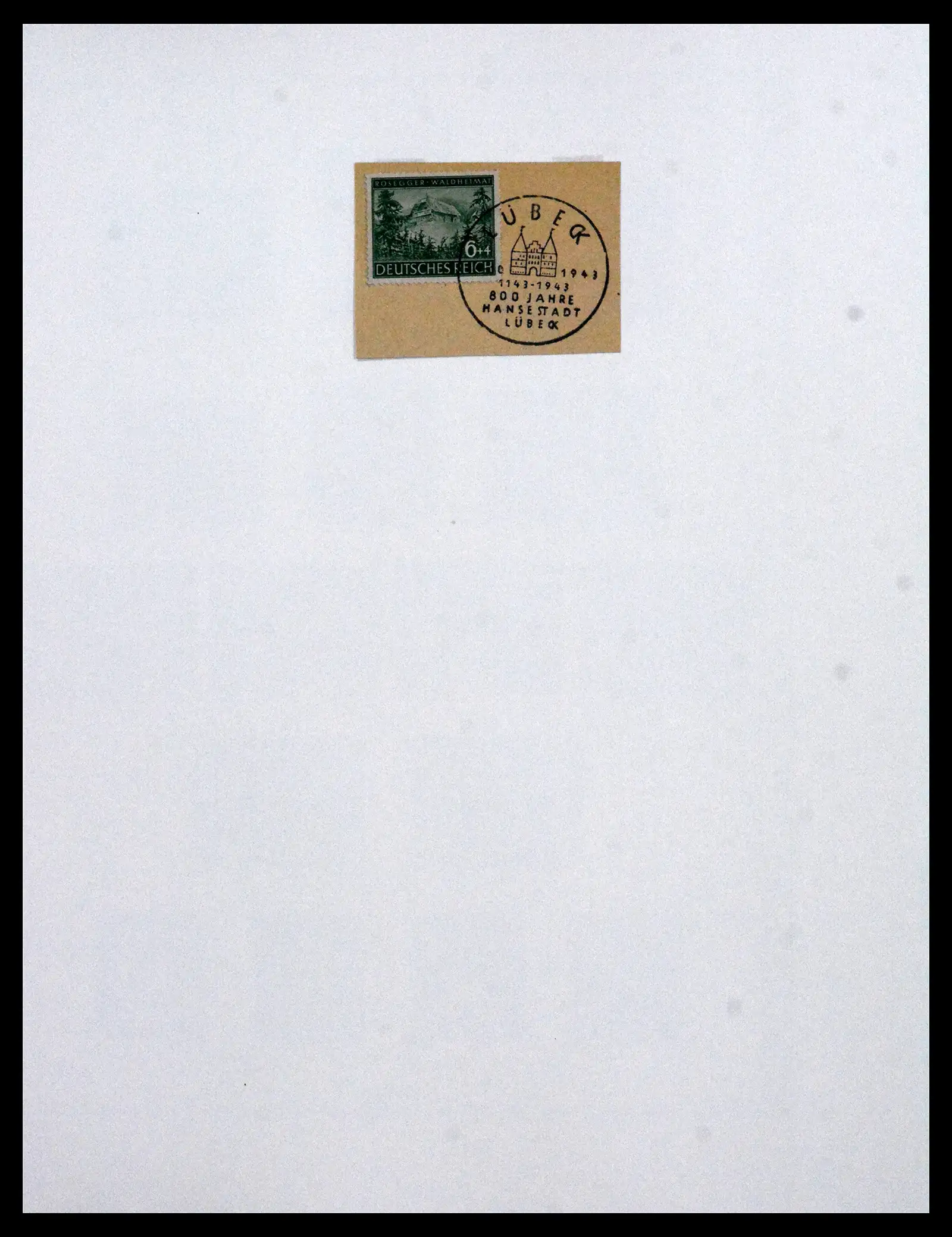 41975 0082