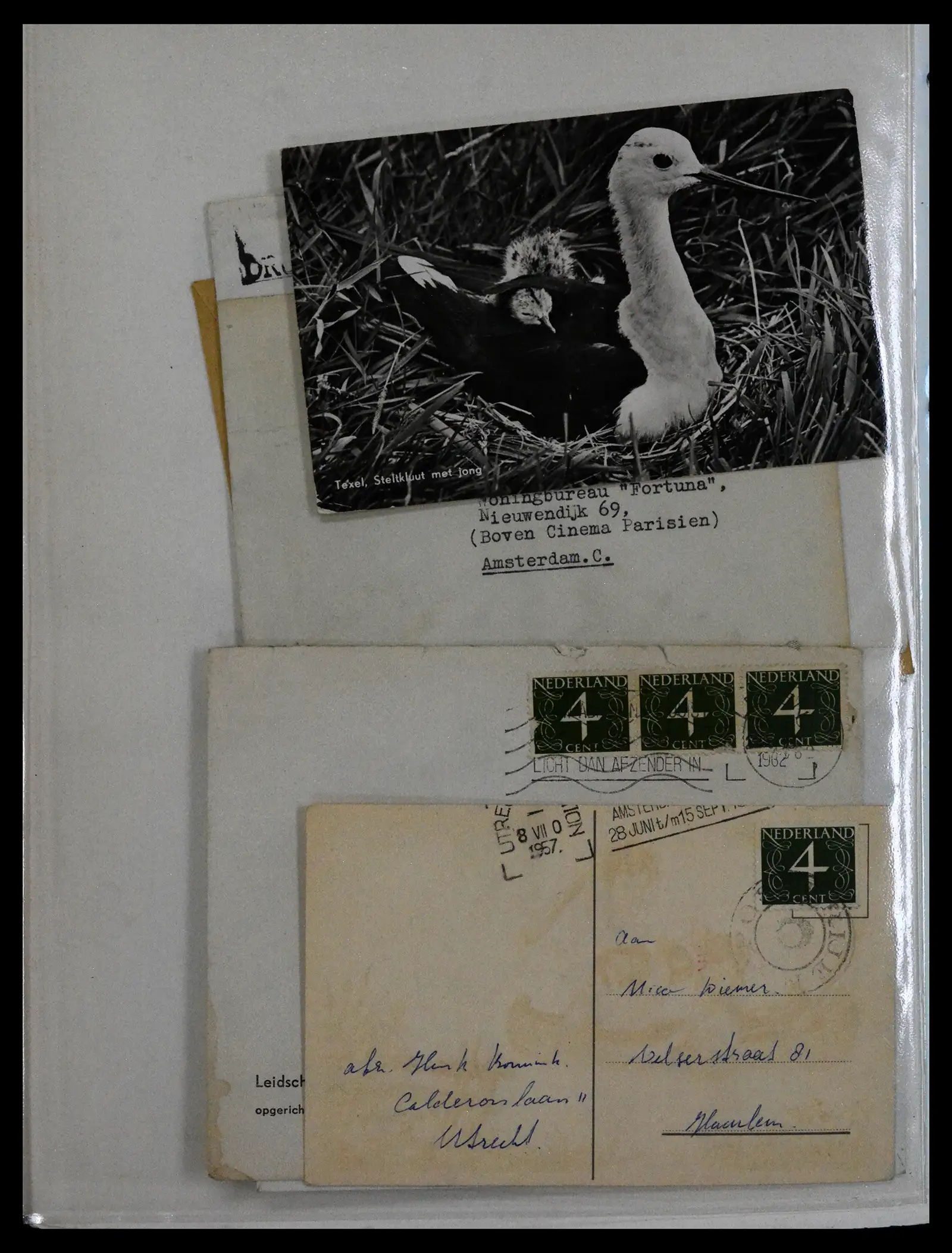 41981 0084 - Stamp collection 41981 Netherlands 1872-1949.