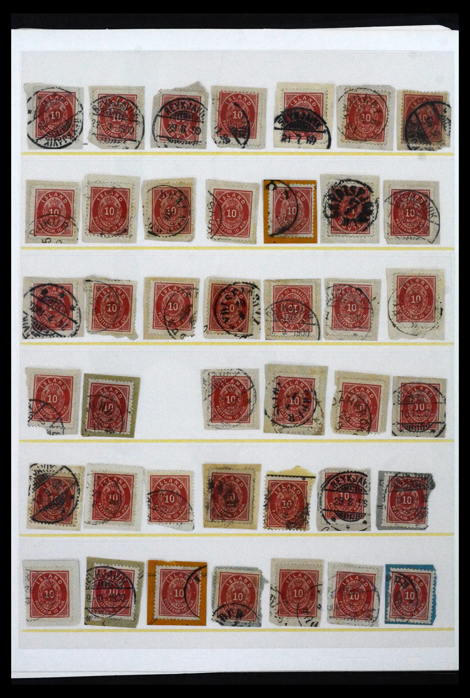 41998 0005